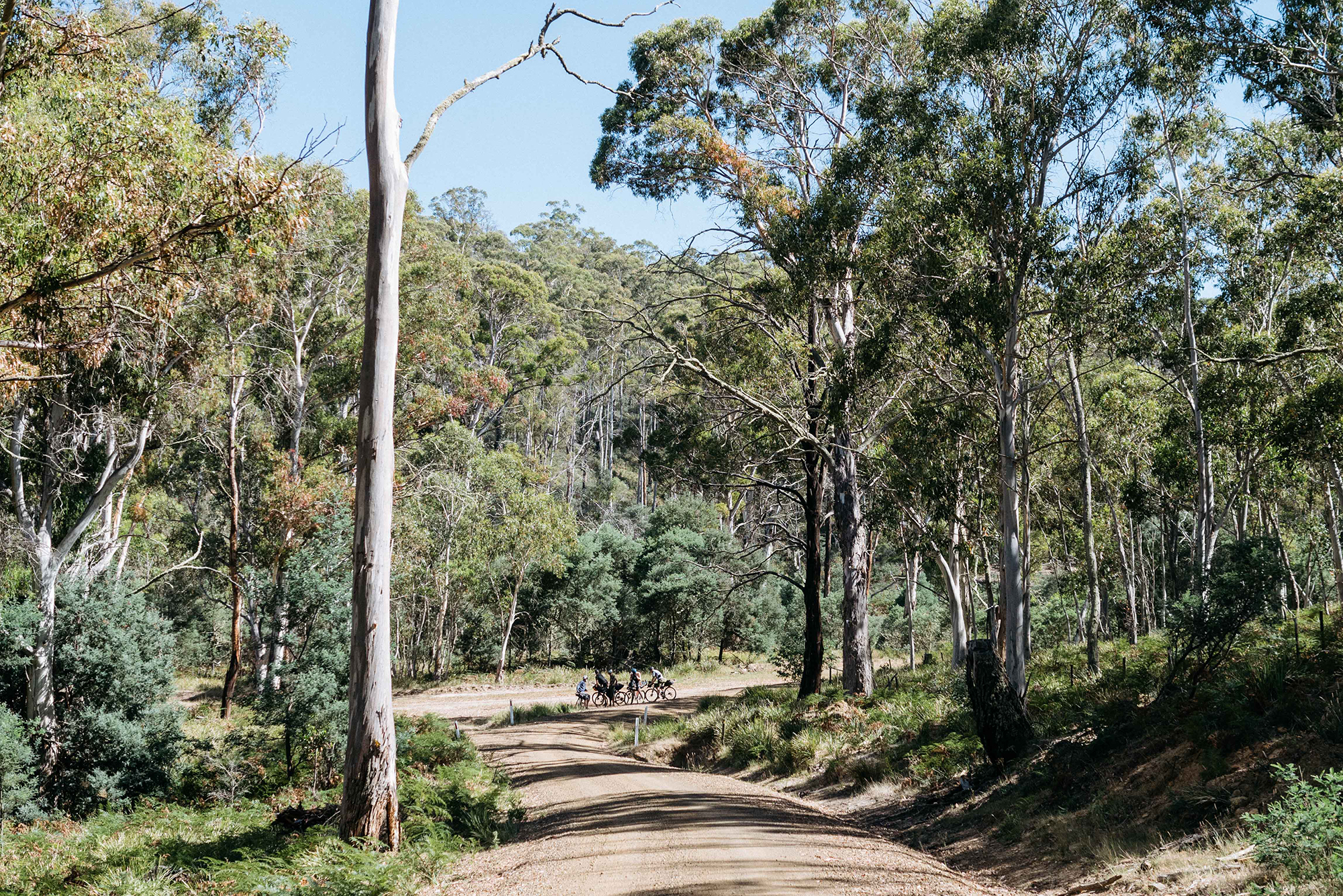 Craft in Tasmania – Joe Cruz and Scott Mattern – John Watson | The ...
