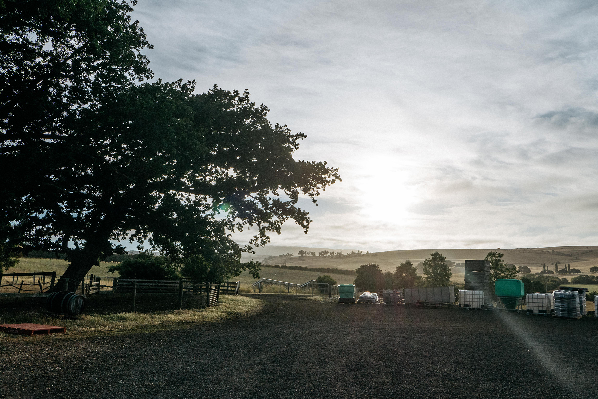 Craft in Tasmania – Joe Cruz and Scott Mattern – John Watson | The ...