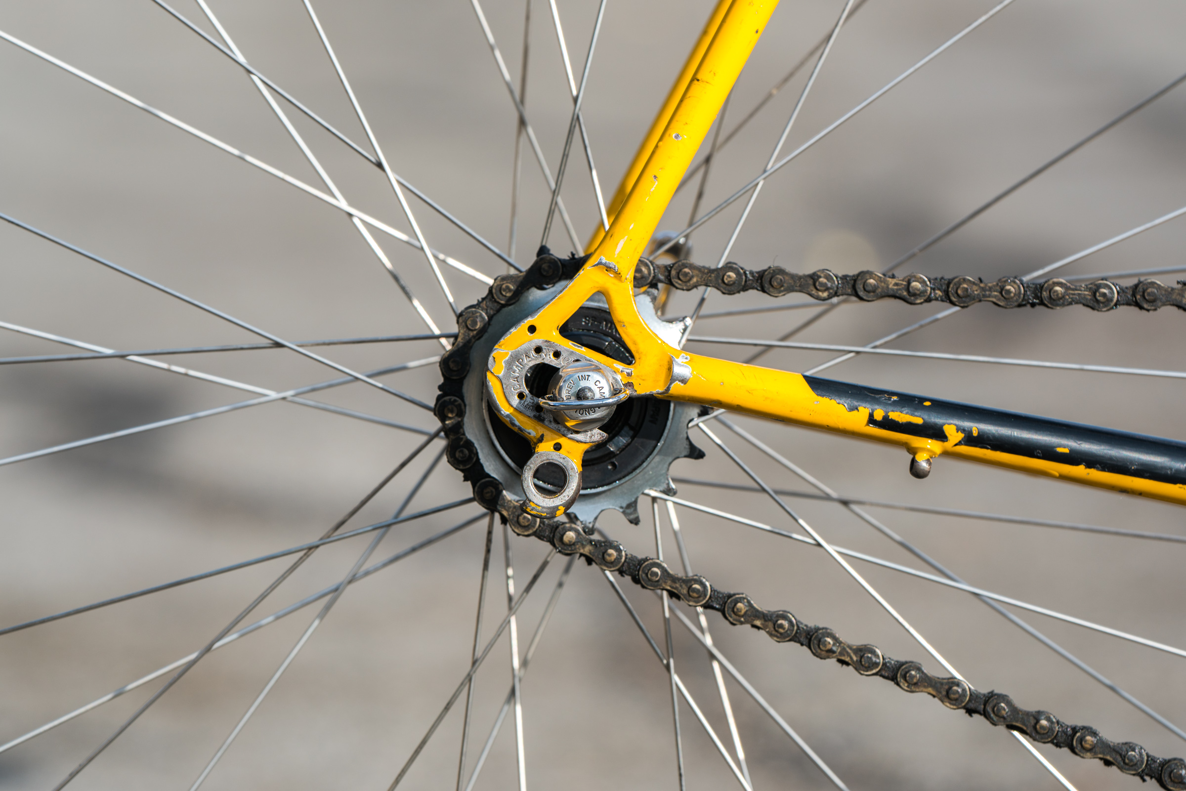 Luciano's Velo Playa Larga GIOS Torino – Sean Talkington – John