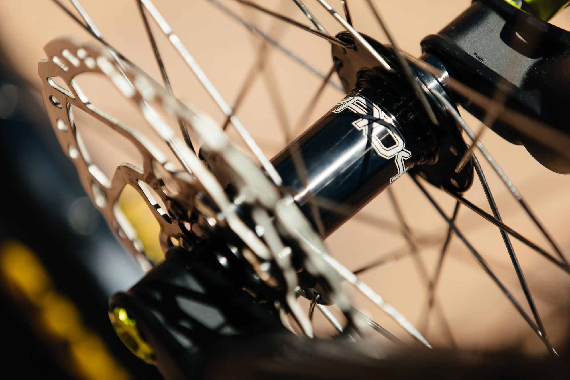 Michael’s Radioactive Rex Cycles Fillet Brazed 29er Hardtail – John ...