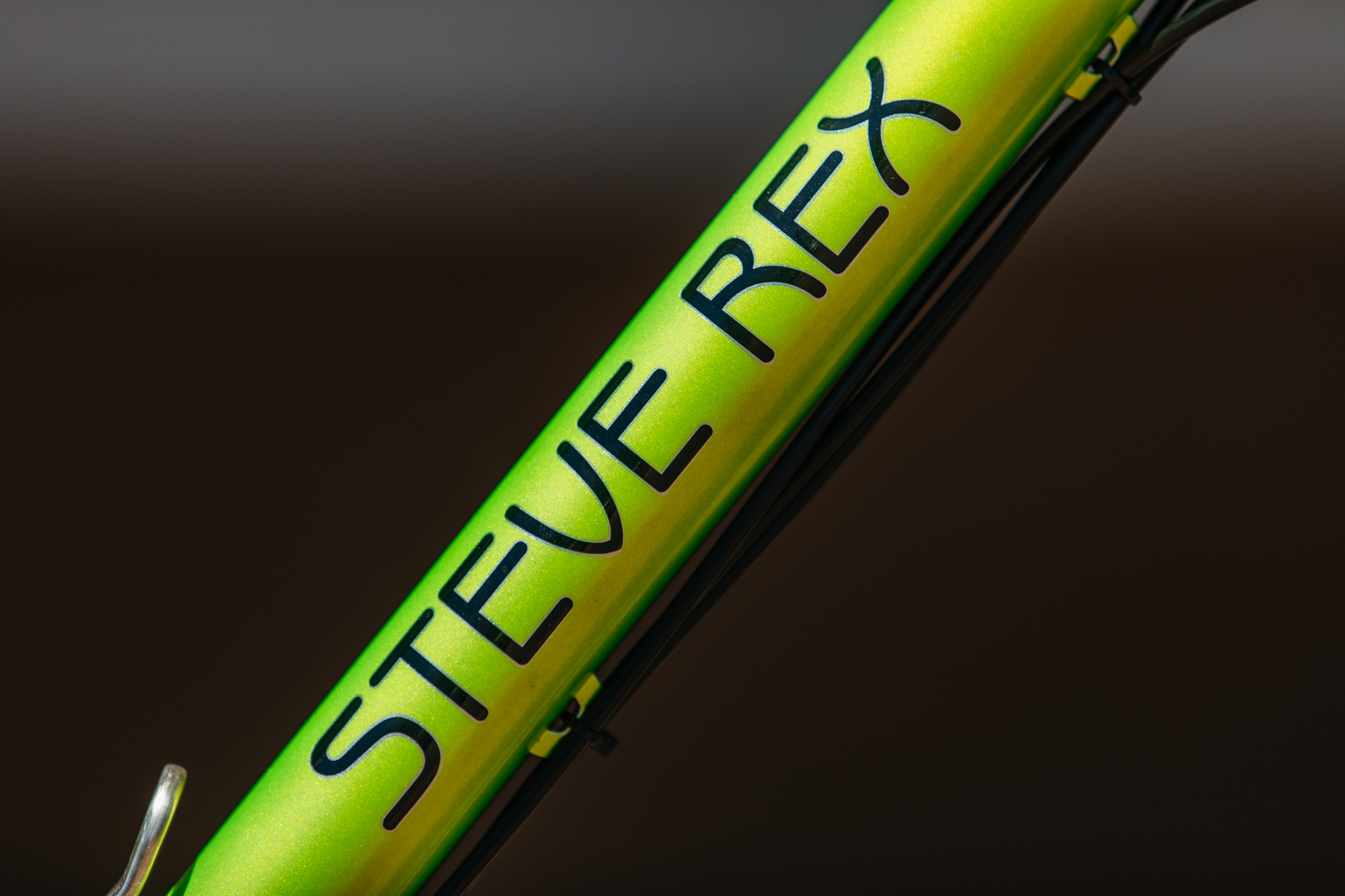 Michael’s Radioactive Rex Cycles Fillet Brazed 29er Hardtail – John ...