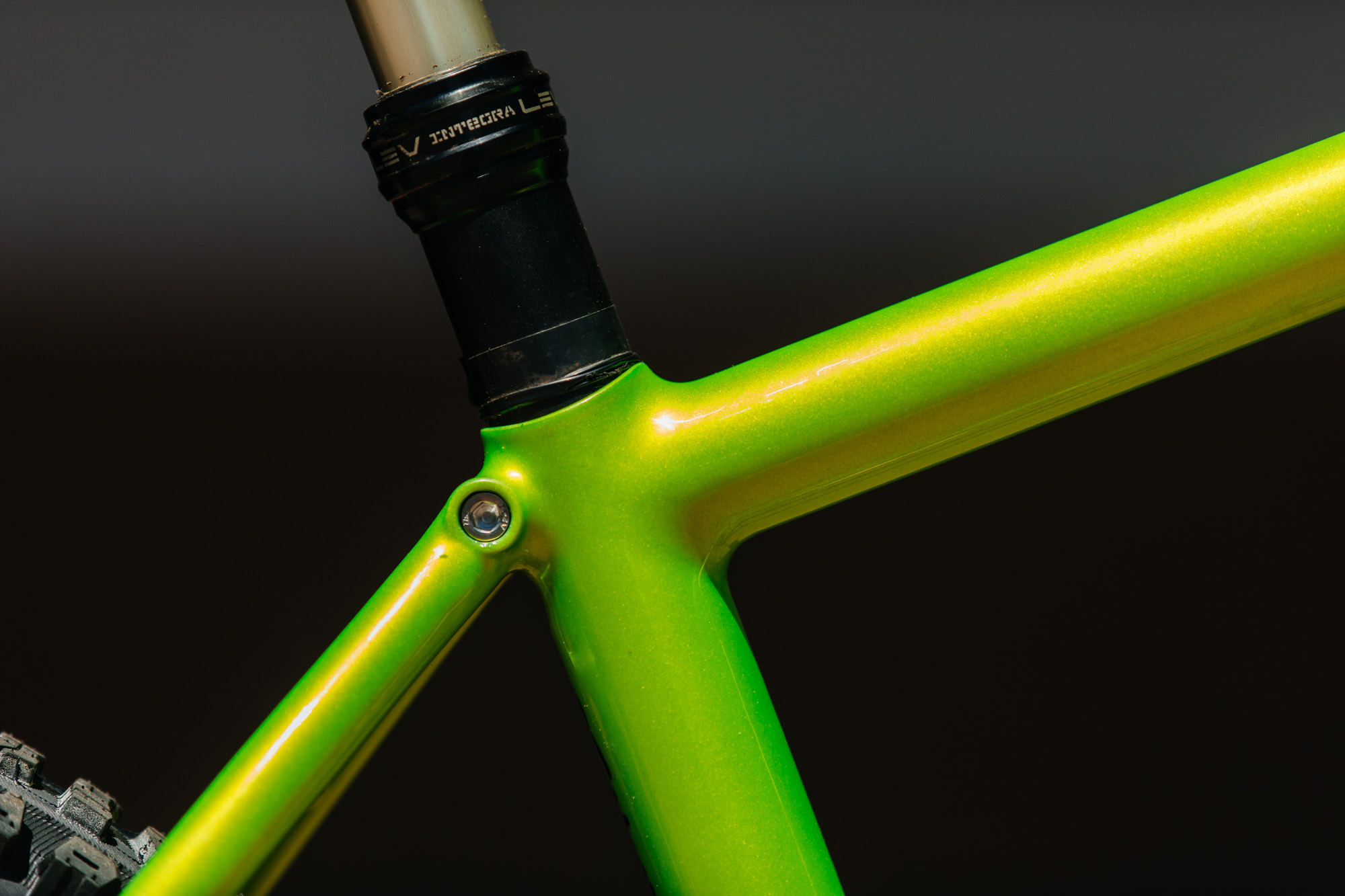 Michael’s Radioactive Rex Cycles Fillet Brazed 29er Hardtail – John ...