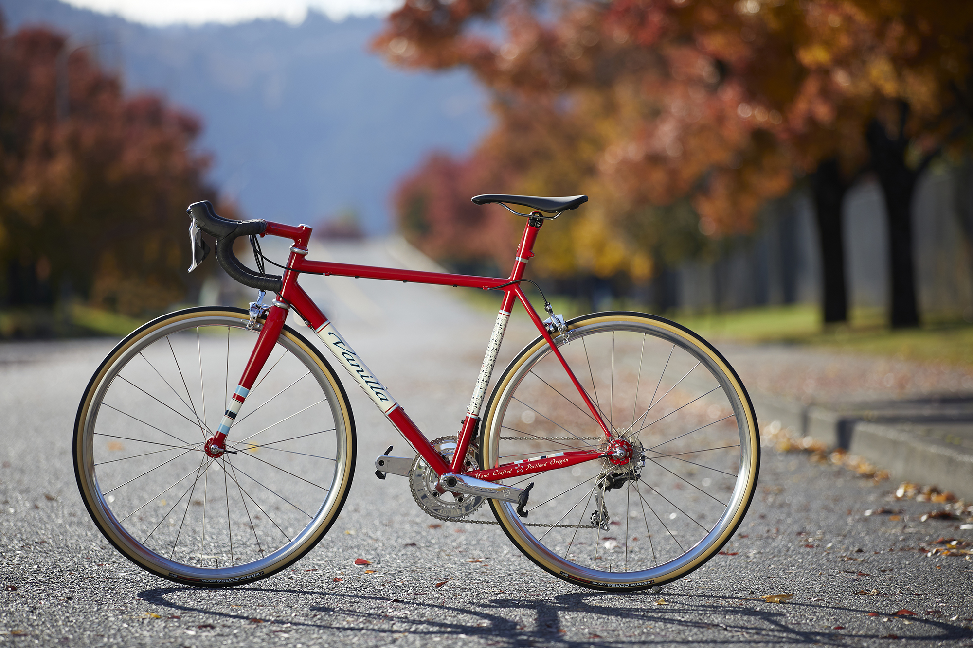 Introducing the Vanilla Classic Road Bike with Custom
