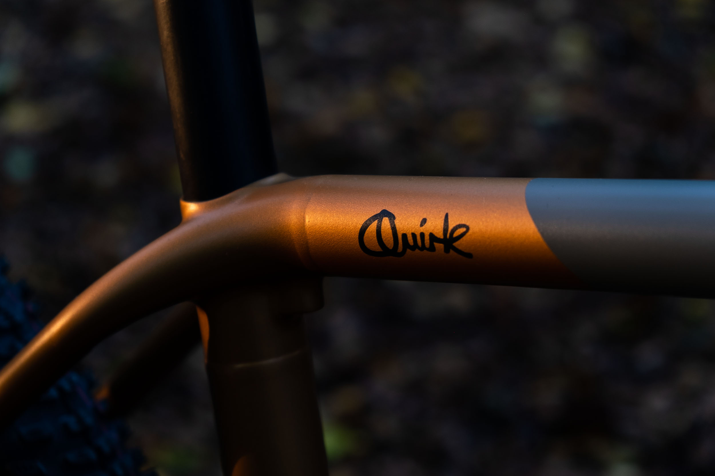 Stump Quirk Out & Mud On A Colon 3CD 希少 The Quirk Cycles SUPERCHUB is a Tricked Out XC Race Hardtail