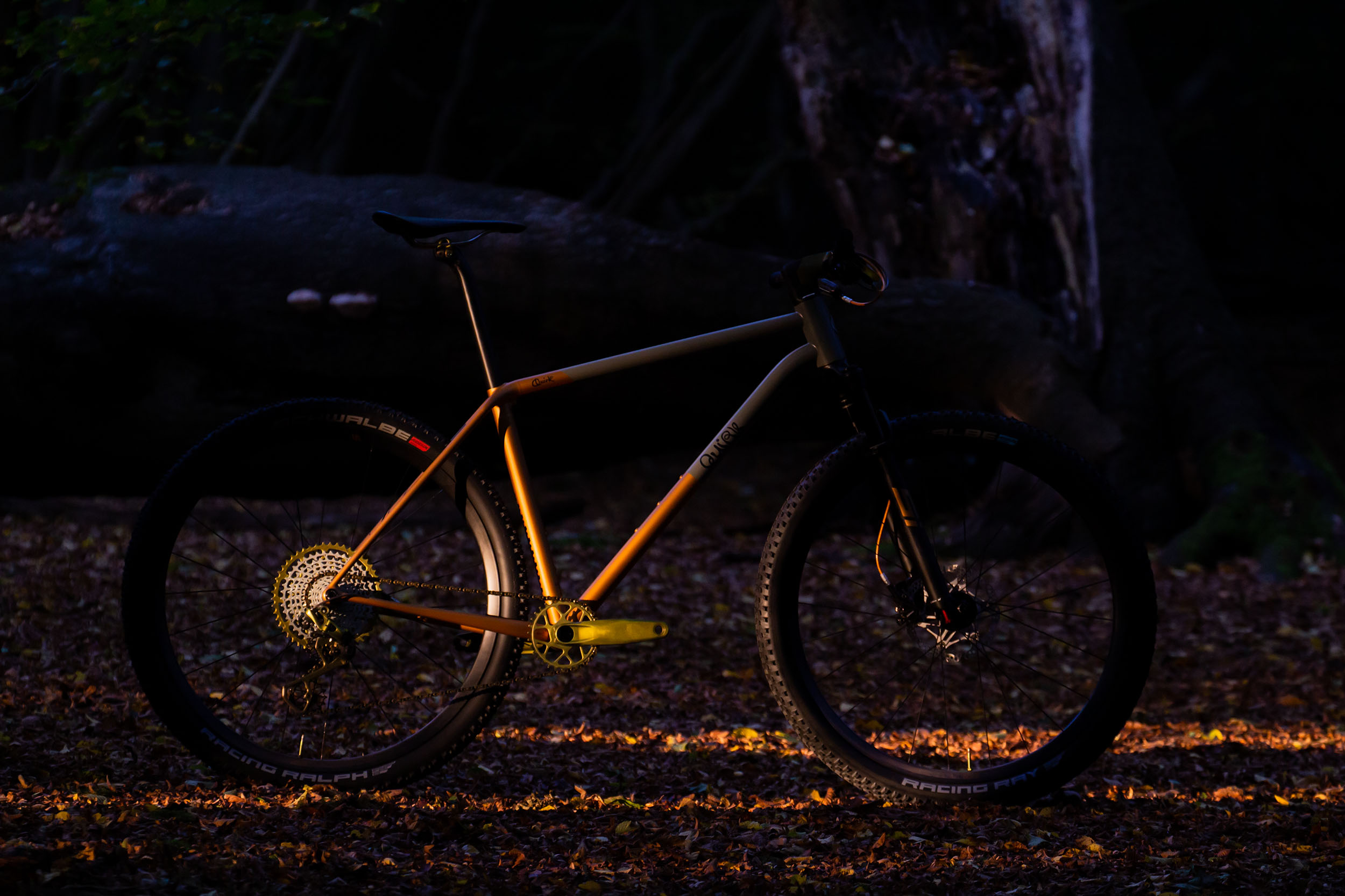 The Quirk Cycles SUPERCHUB is a Tricked Out XC Race Hardtail