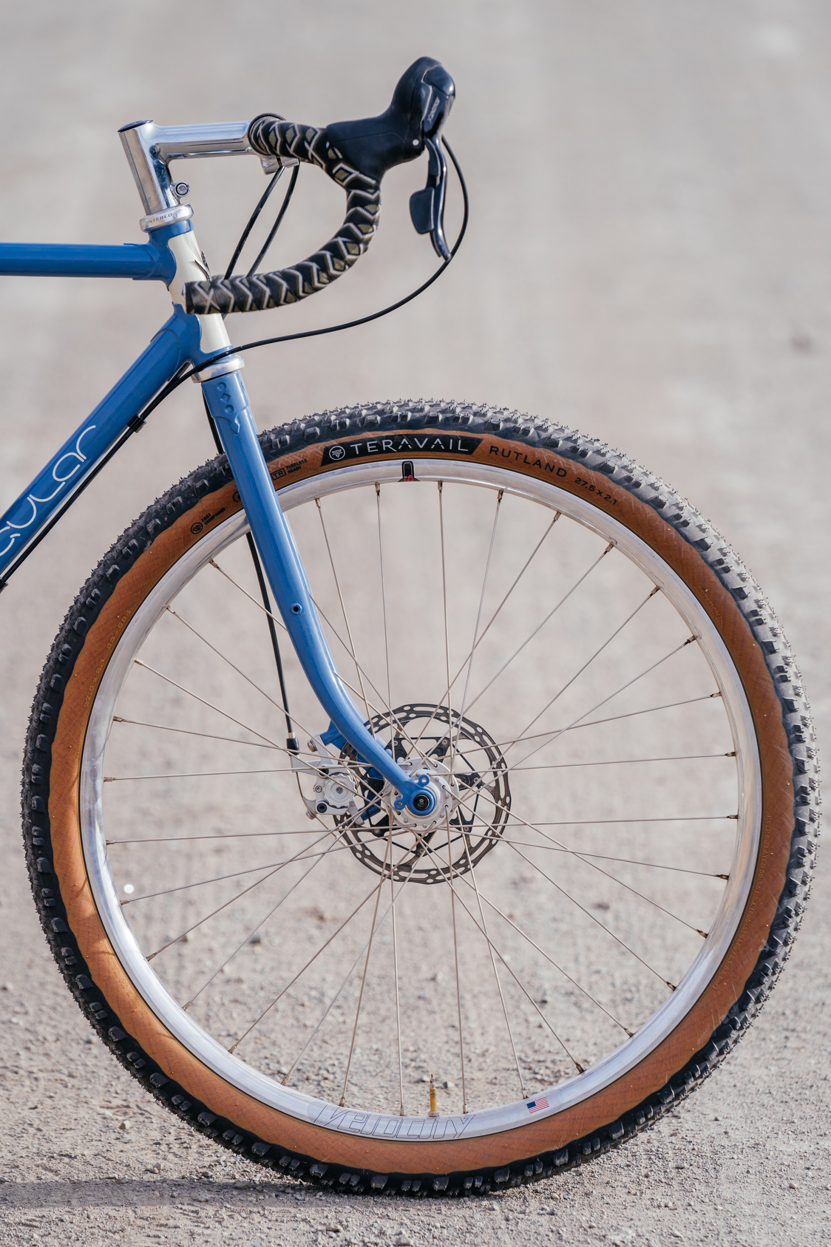 An Iconic All-Rounder: Stooping with the Singular Cycles Peregrine