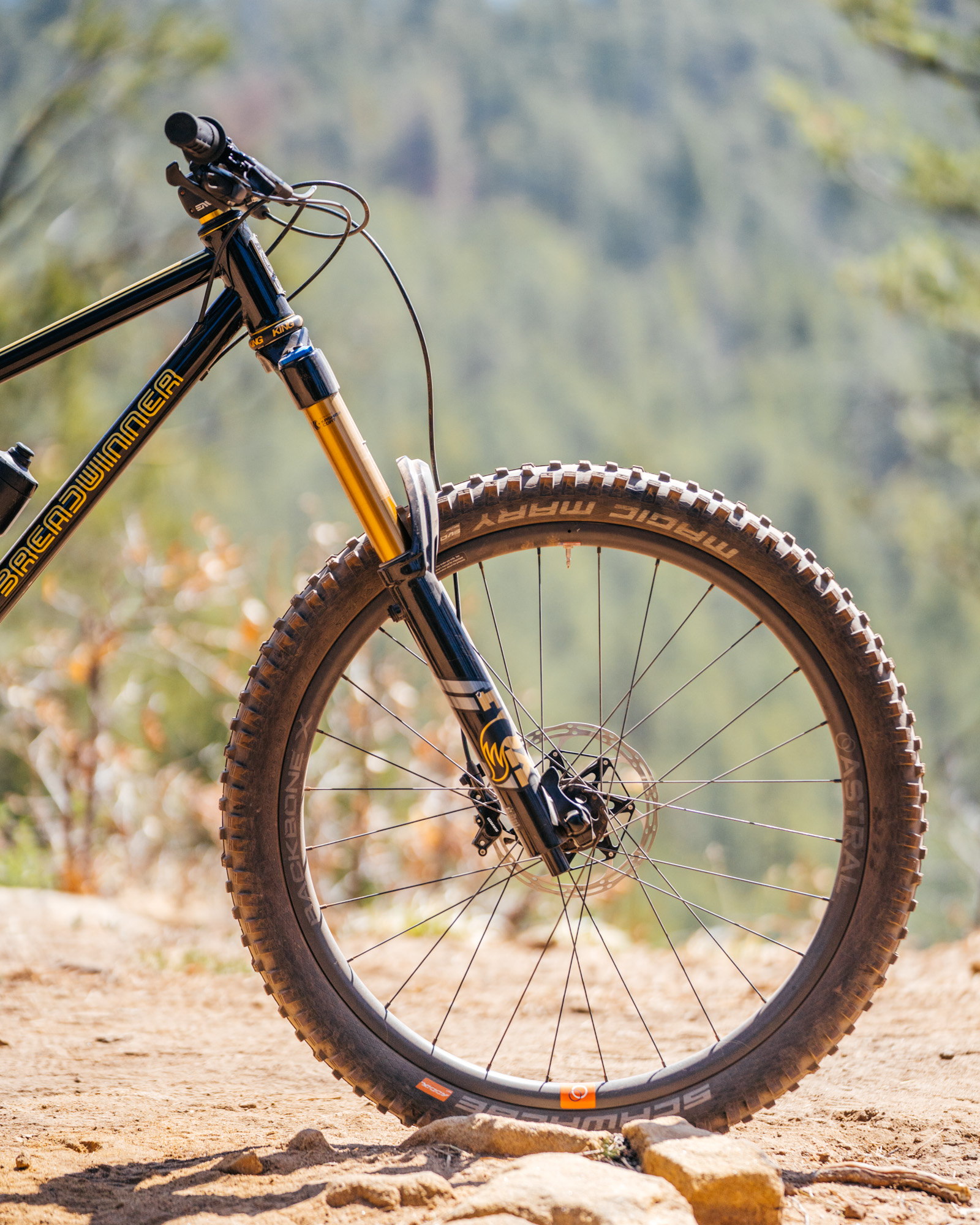 Trail Time with Breadwinner's Bad Otis: A 160mm Travel 27.5