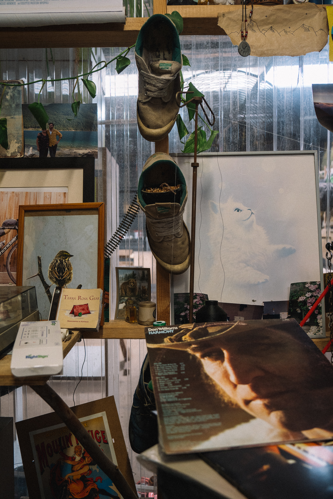Terra Rosa Raga Custom With a Conscience: A Shop Visit with Terra Rossa Gear – Sam Rice ...