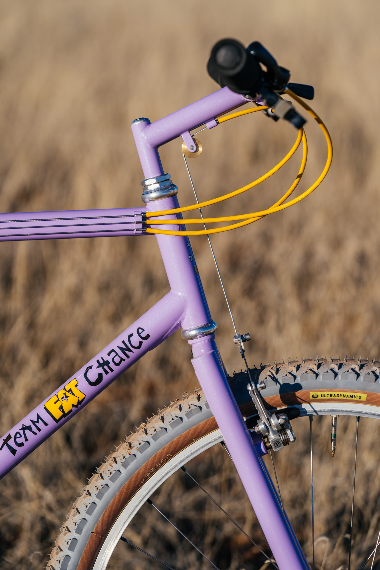 Fork Yeah: John's 1991 Team Fat Chance Yo Eddy! – john watson
