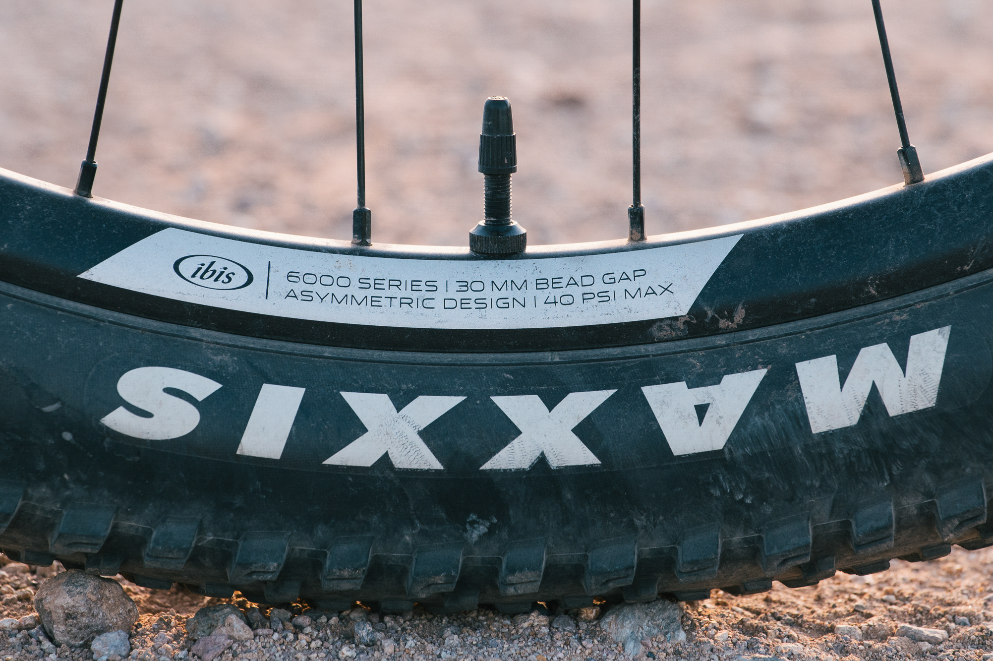 Lightweight and Fast and Niche: Ibis DV9 Hardtail 29er Review – Spencer ...