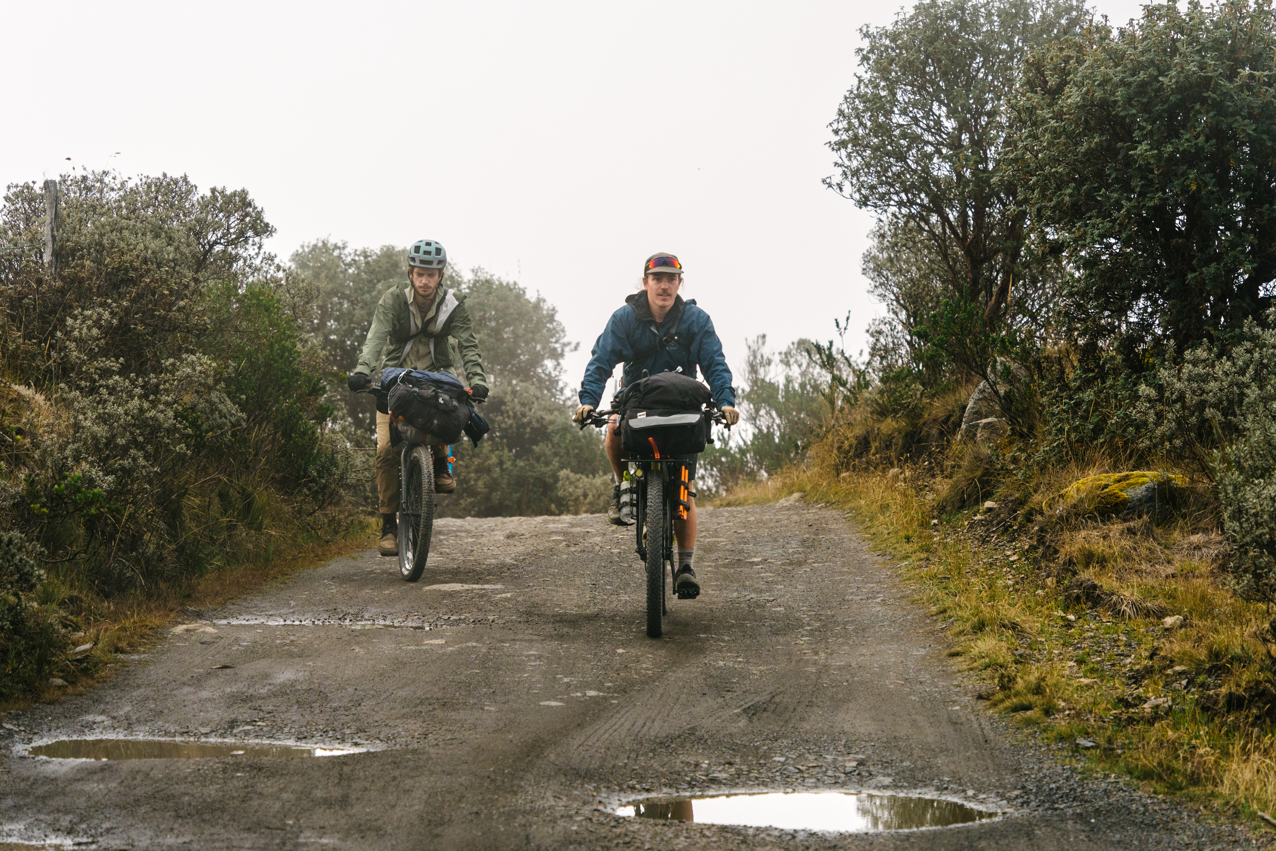 Into the paramo
