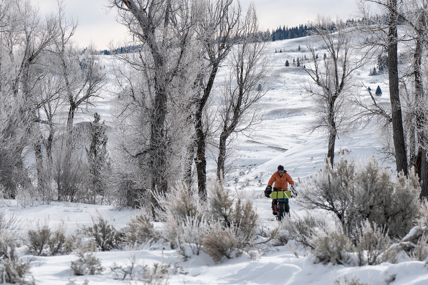 Cyclist Ref Following Decade-old Tire Tracks: Kurt Refsnider Sets out on the ...