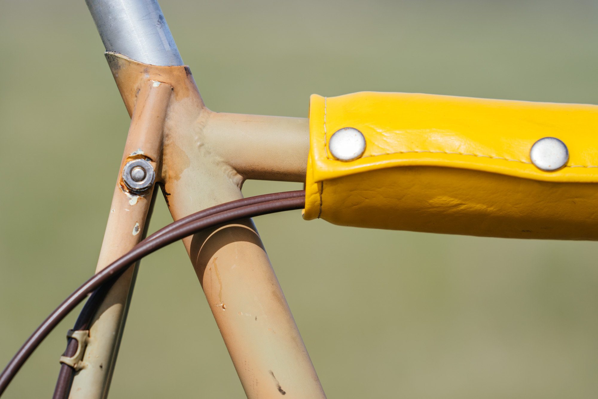 1979 Victor Vincente of America 'Topanga!'