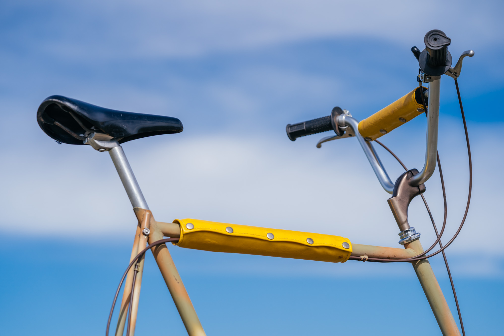 1979 Victor Vincente of America 'Topanga!'