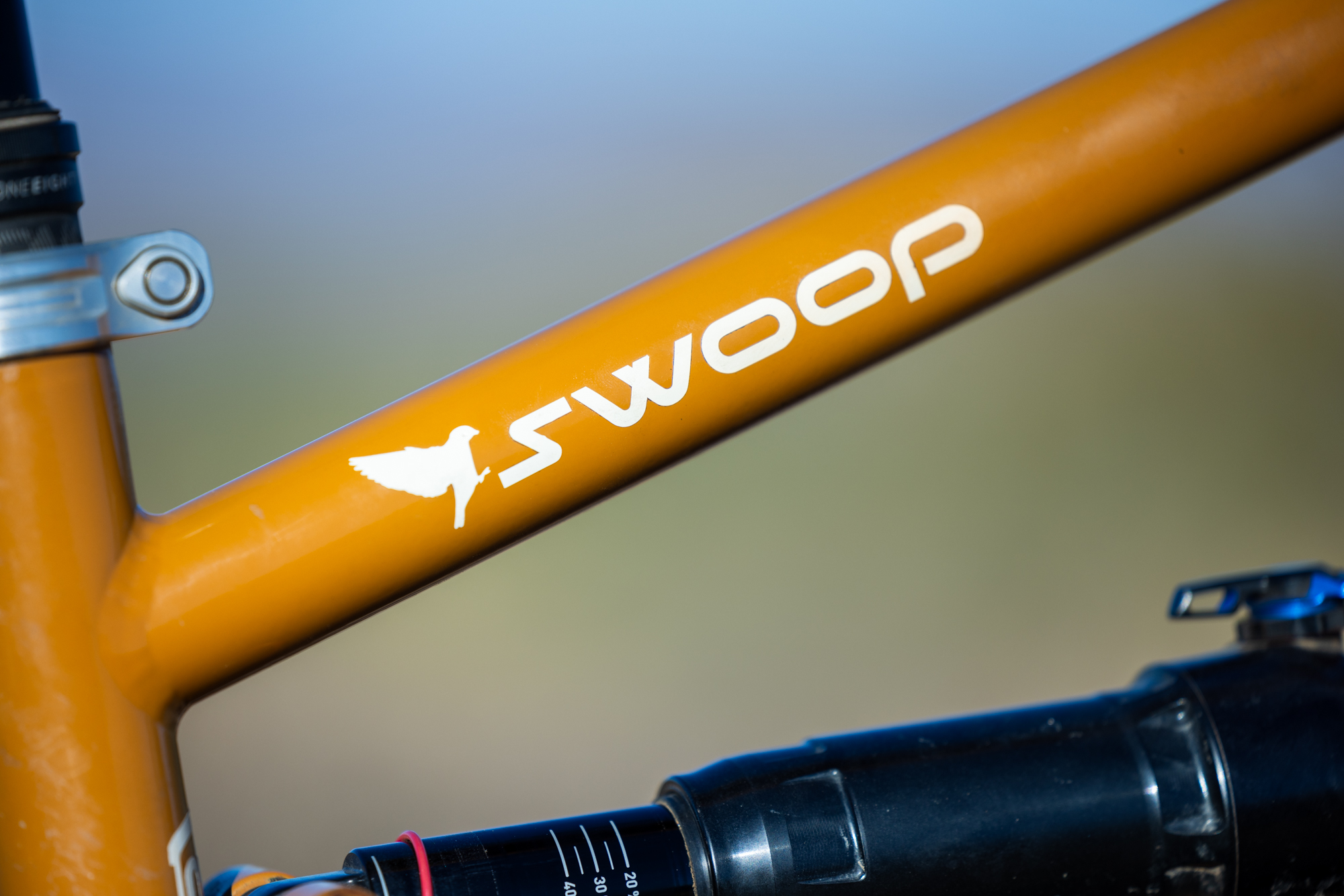 Swoop Contrap Double Feature Review: Alex and Nikki’s Starling Swoop Steel Full ...