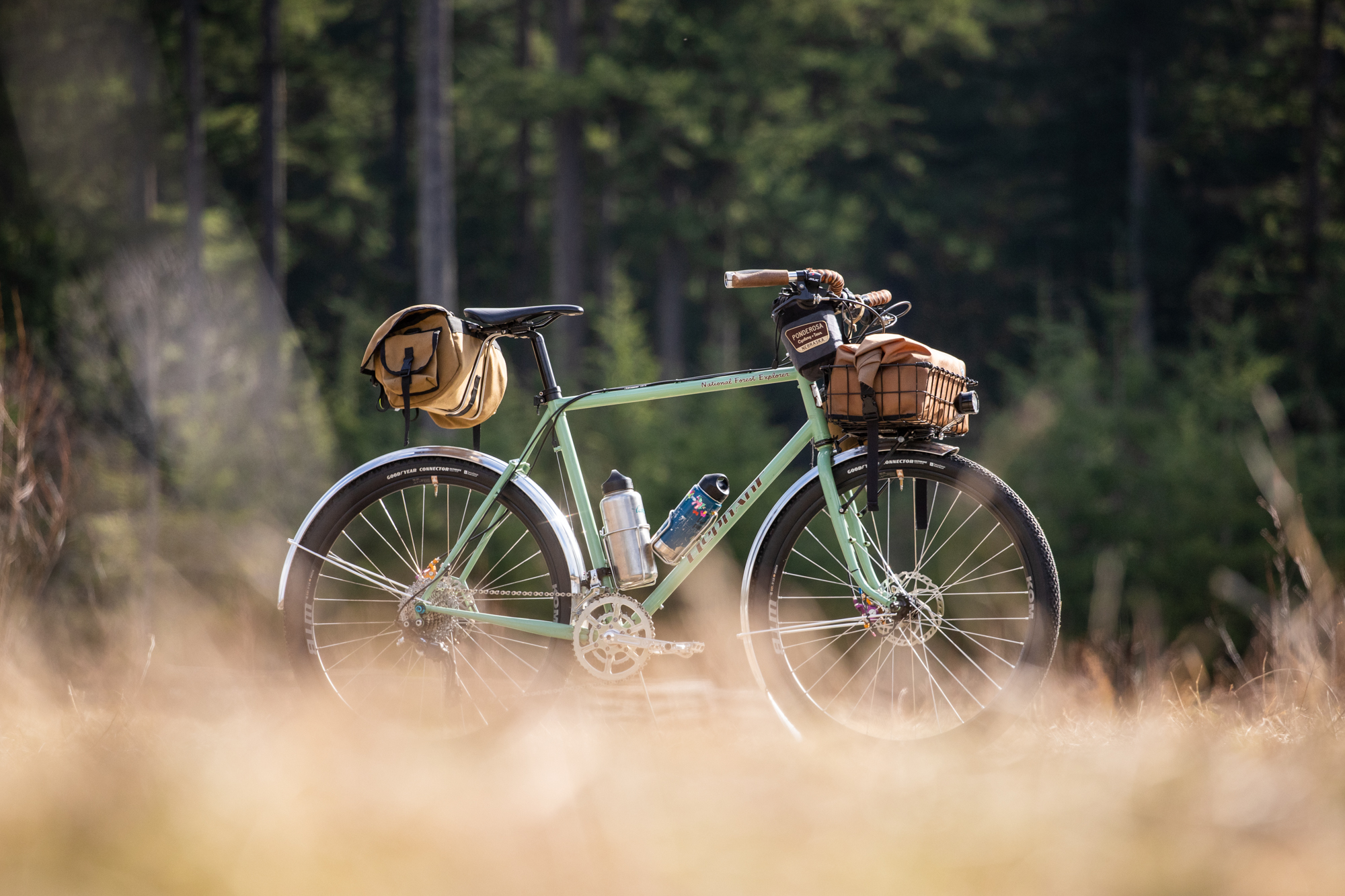 The Search for the Perfect Noodle: An Elephant Bikes National Forest ...