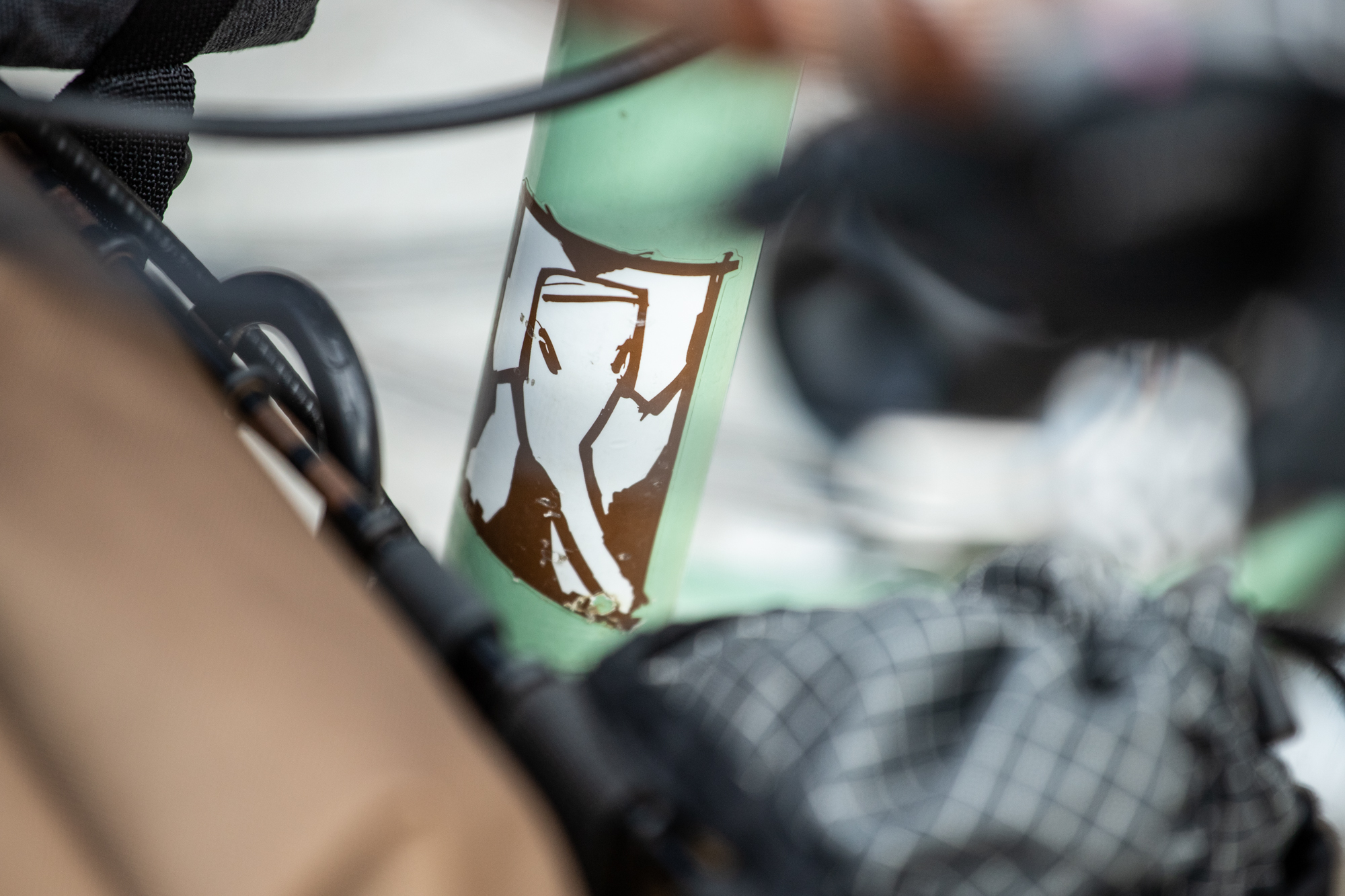 The Search for the Perfect Noodle: An Elephant Bikes National Forest ...