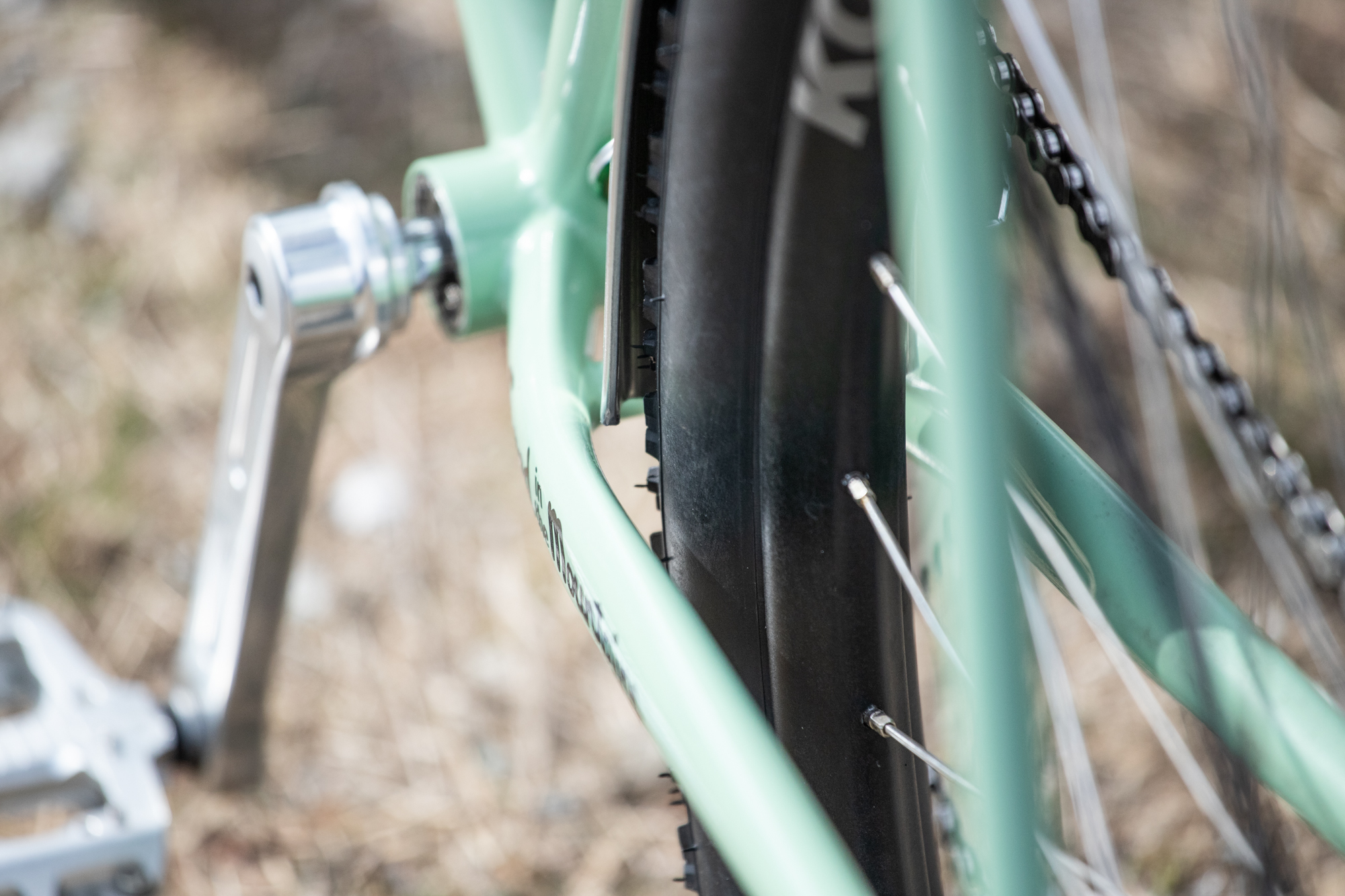 The Search for the Perfect Noodle: An Elephant Bikes National Forest ...