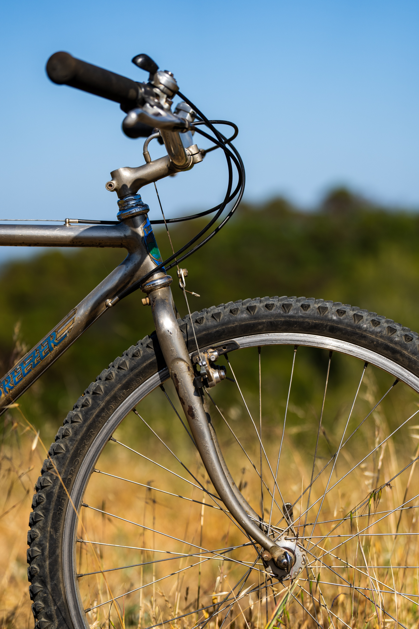 Like a Fine Wine: Wende Cragg's Custom 1983 Breezer Series III