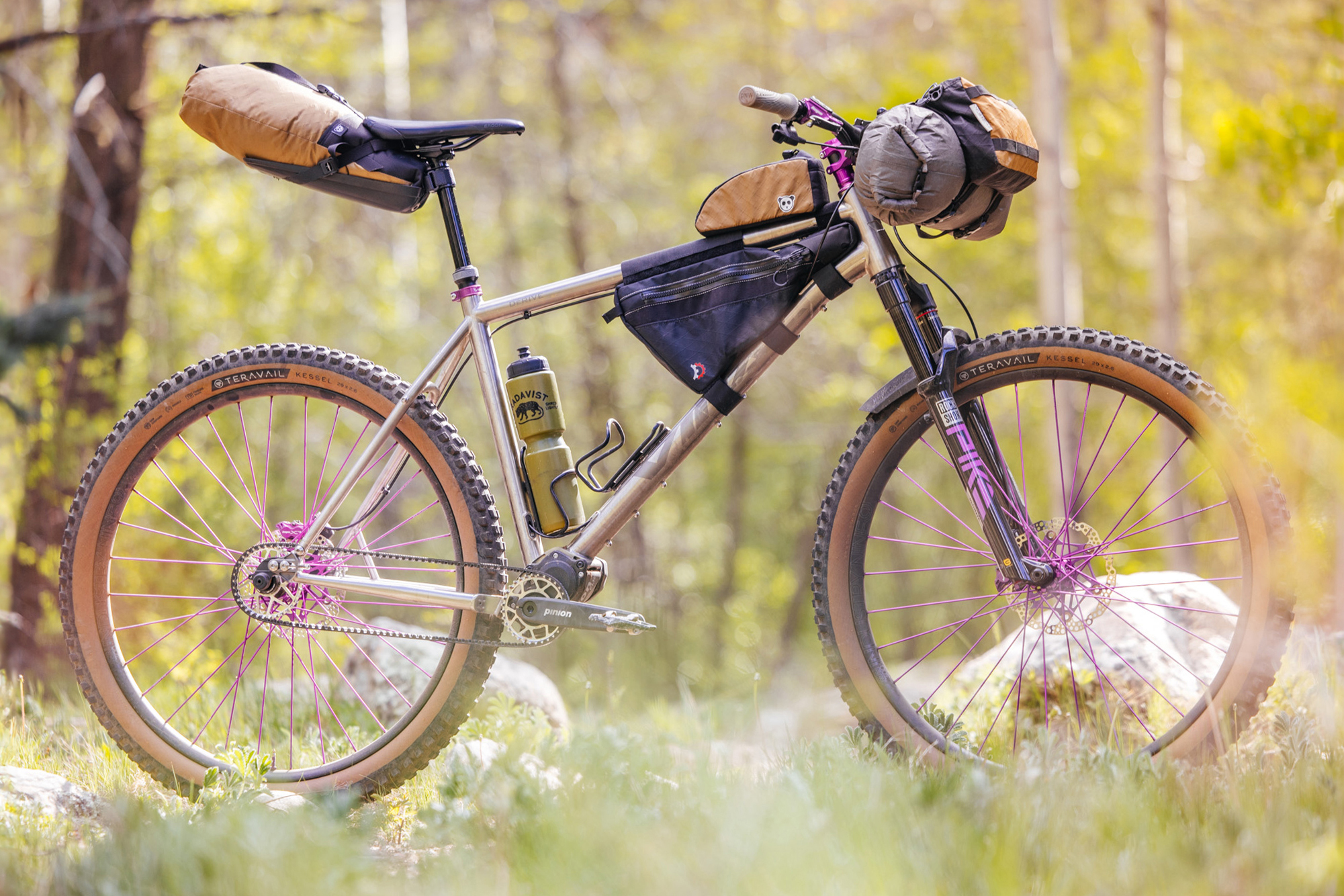 Viral Derive Review: Titanium Pinion Smart.Shift Hardtail 29er