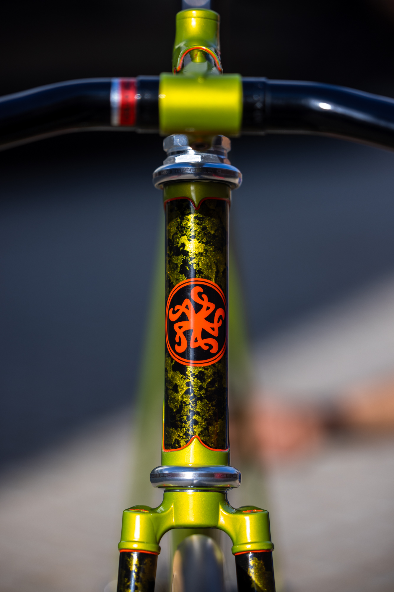 Amigo Frameworks x Cicli Pucci Shinken Track Bike – Josh