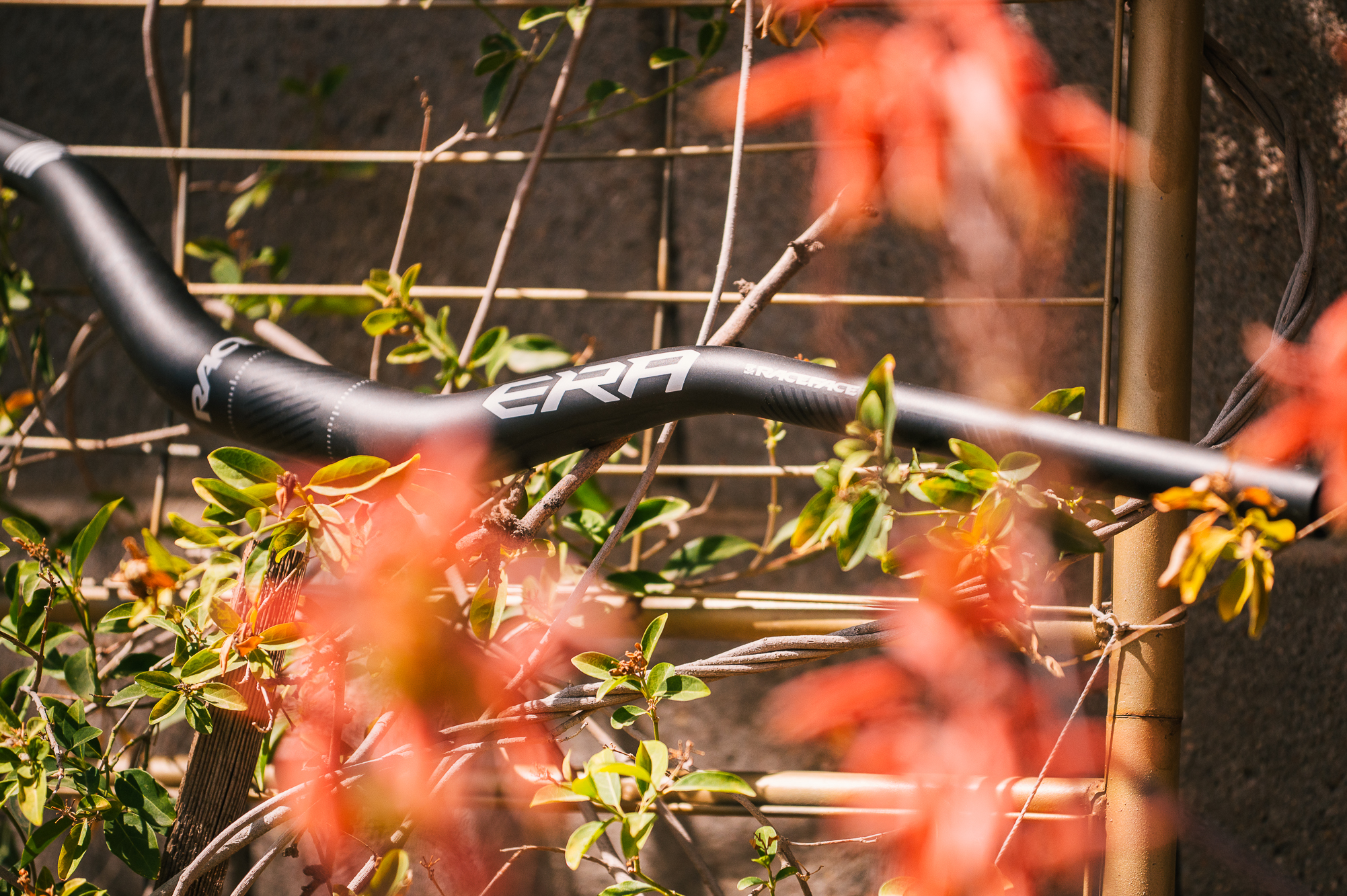 Spencer Riser First Ride Review: Race Face Era 55 Carbon Riser Handlebars – Spencer ...