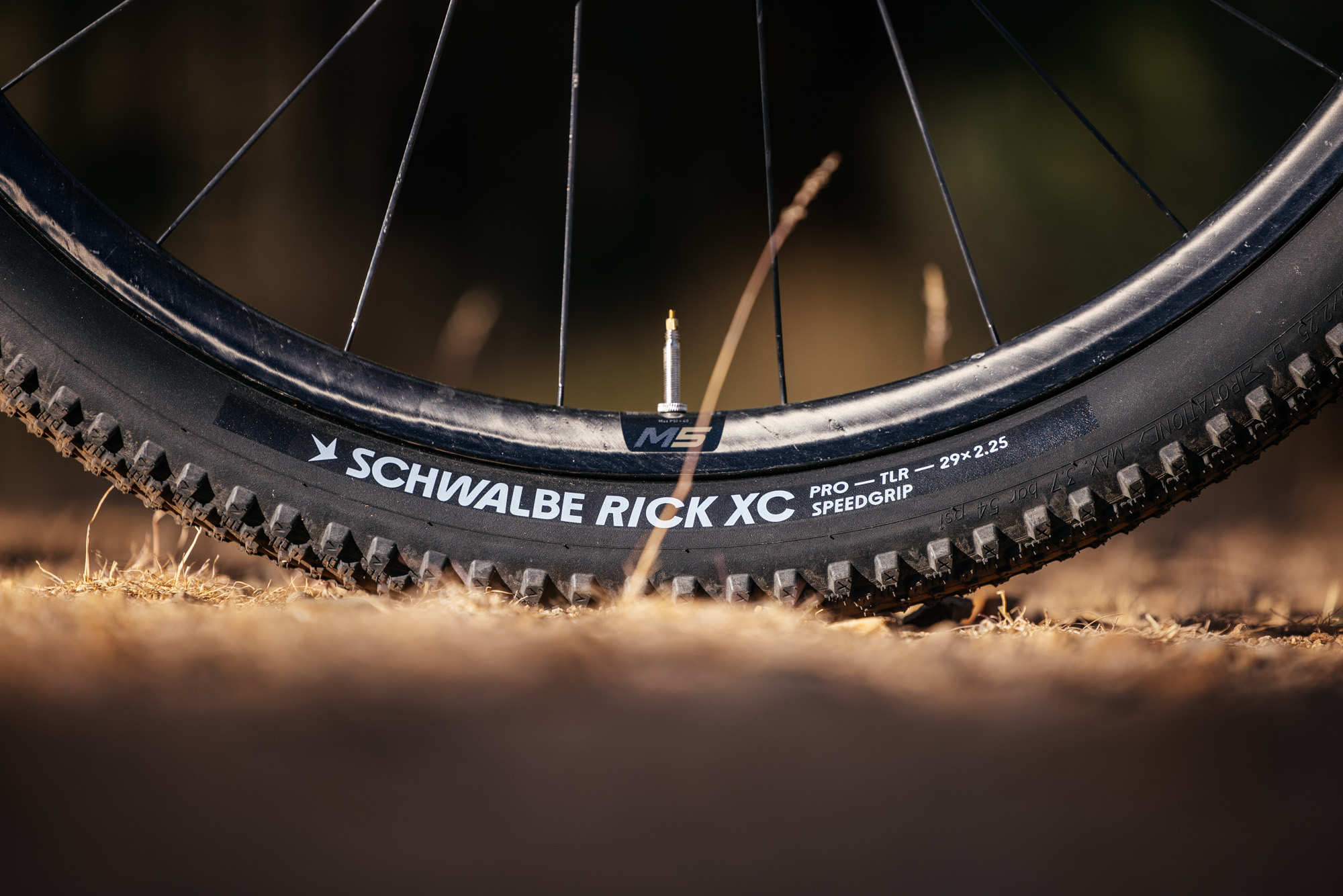 Pine Cycles frst Gravel Bike Gravel Bike