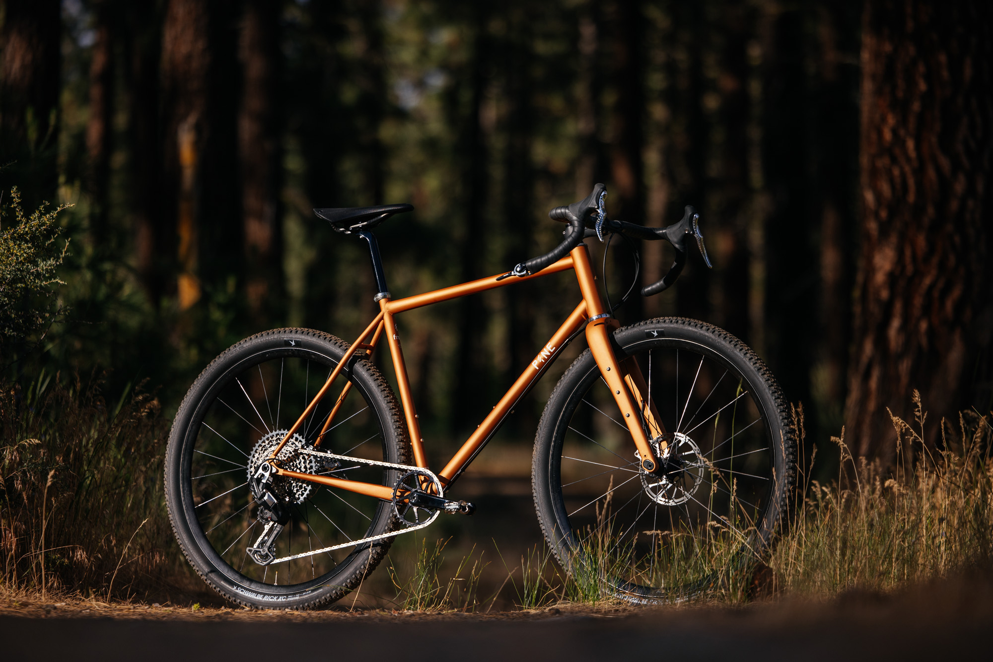 Pine Cycles frst Gravel Bike Gravel Bike