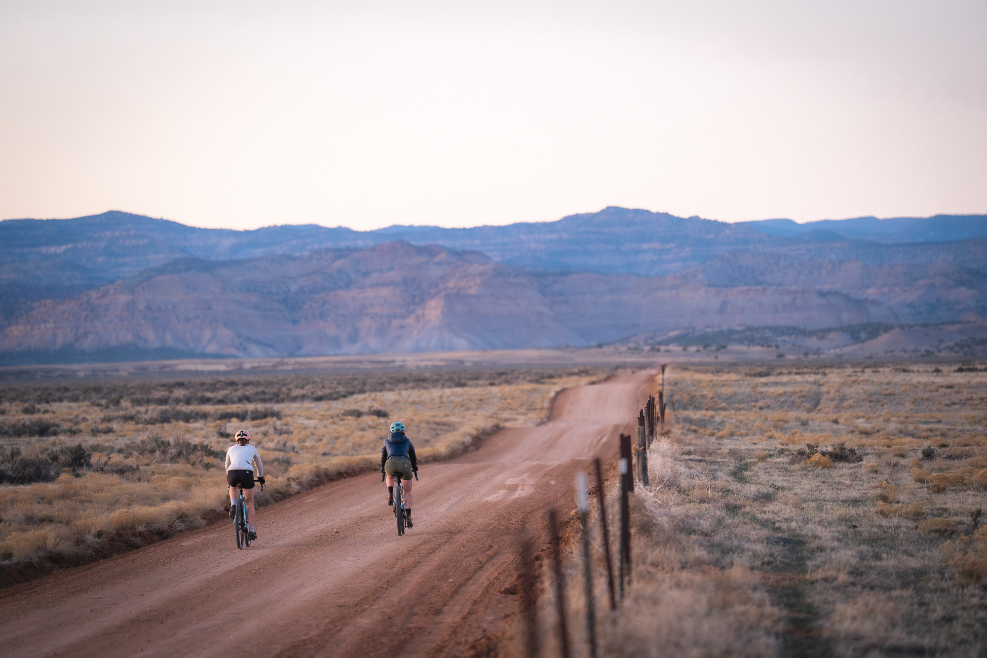 In the Path of the Sandhill Crane