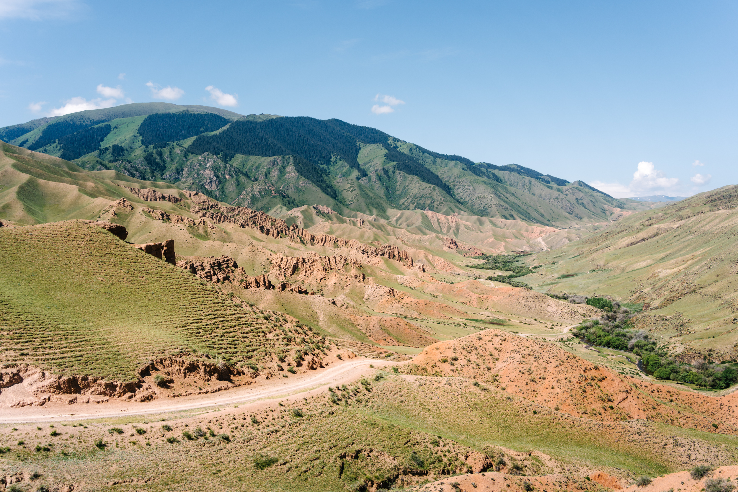 Kuurdak and Kumis: Tracing Tracks in Eastern Kazakhstan – Ryan