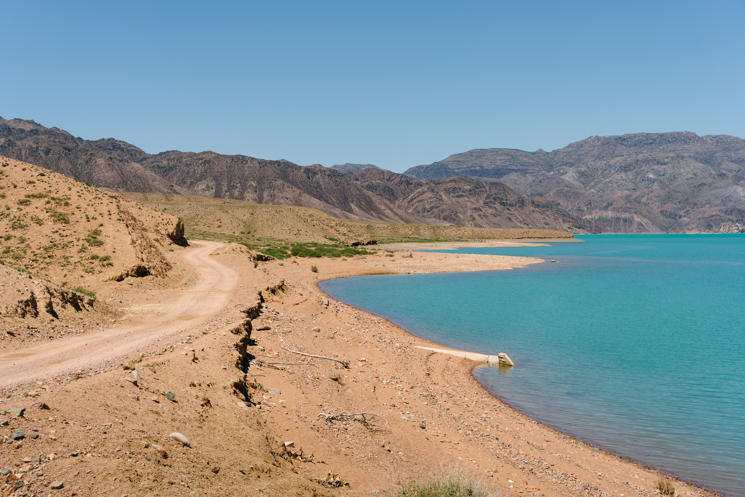 Kuurdak and Kumis: Tracing Tracks in Eastern Kazakhstan – Ryan