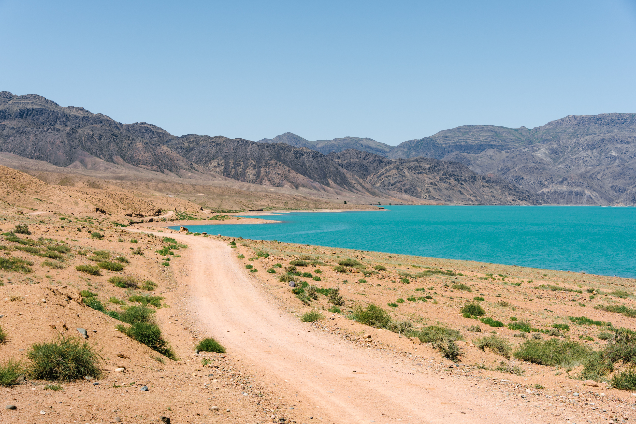 Kuurdak and Kumis: Tracing Tracks in Eastern Kazakhstan – Ryan