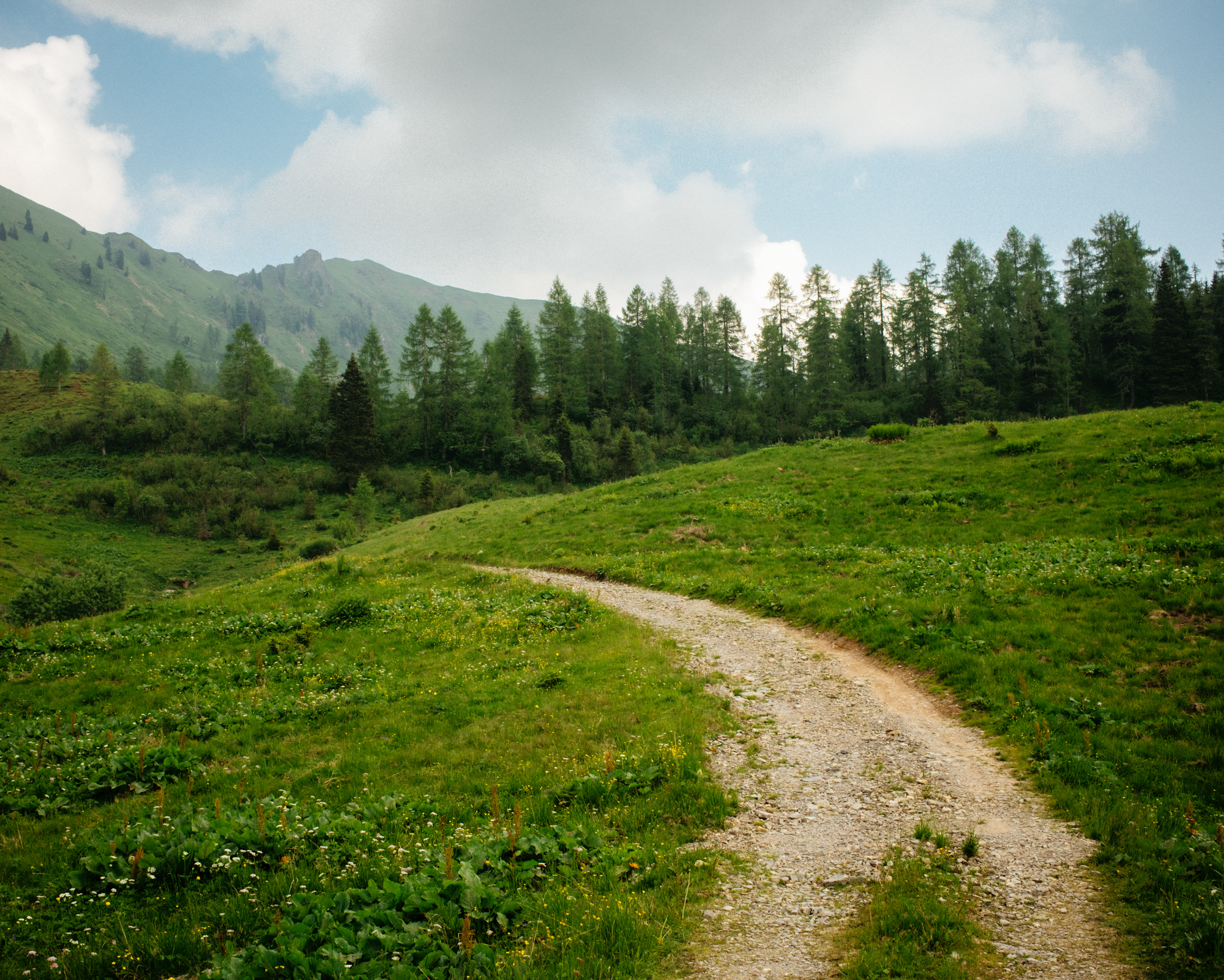 Beep Beep Scusi: A Steep Tour Through The Dolomites