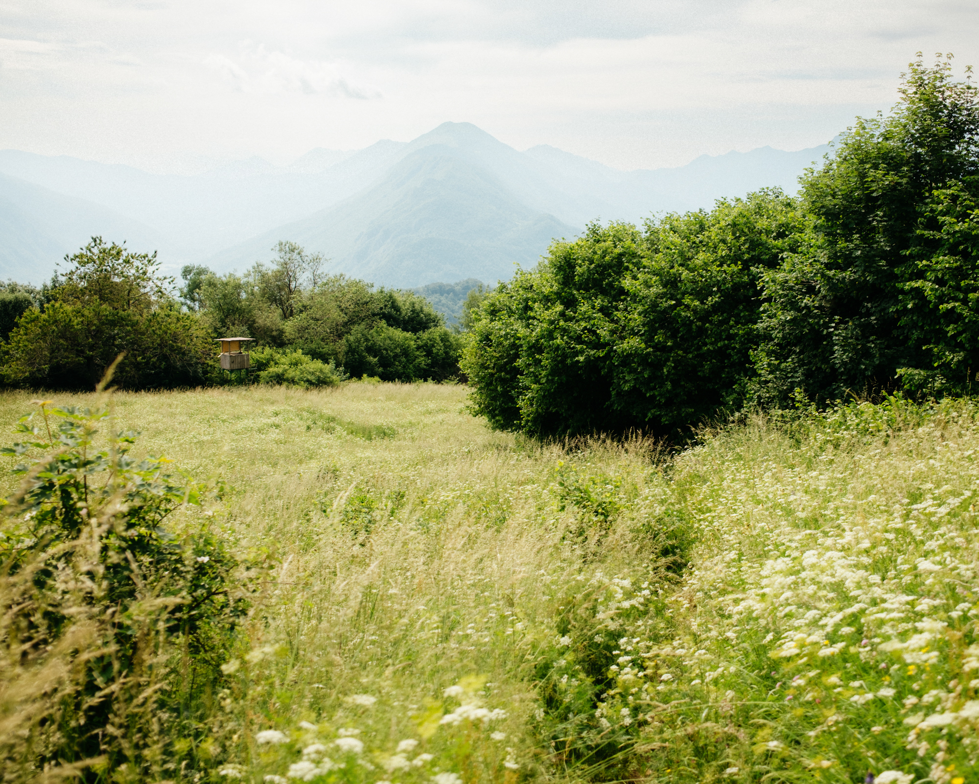 Beep Beep Scusi: A Steep Tour Through The Dolomites