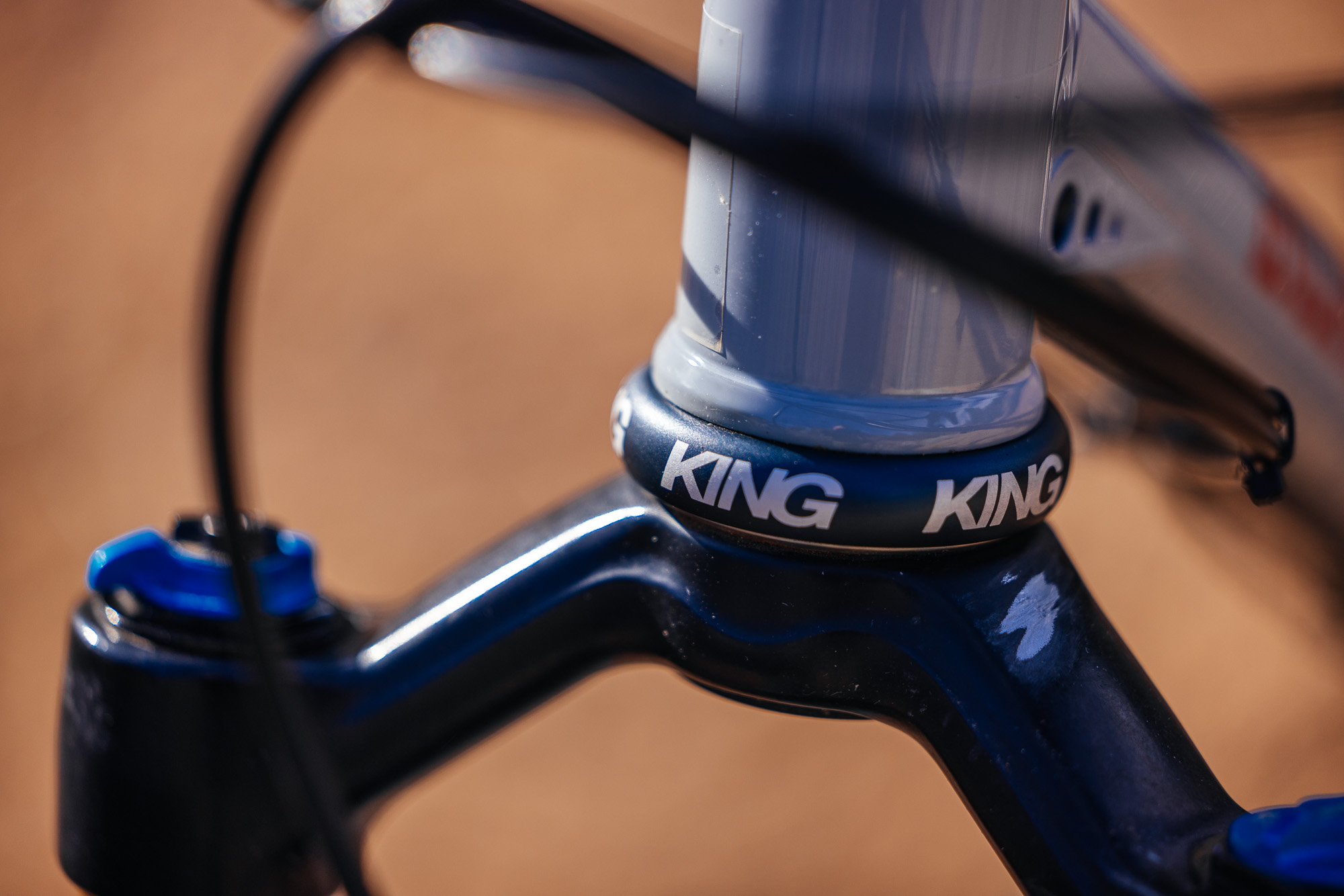 Daniel and His Black Cat Fat Hardtail