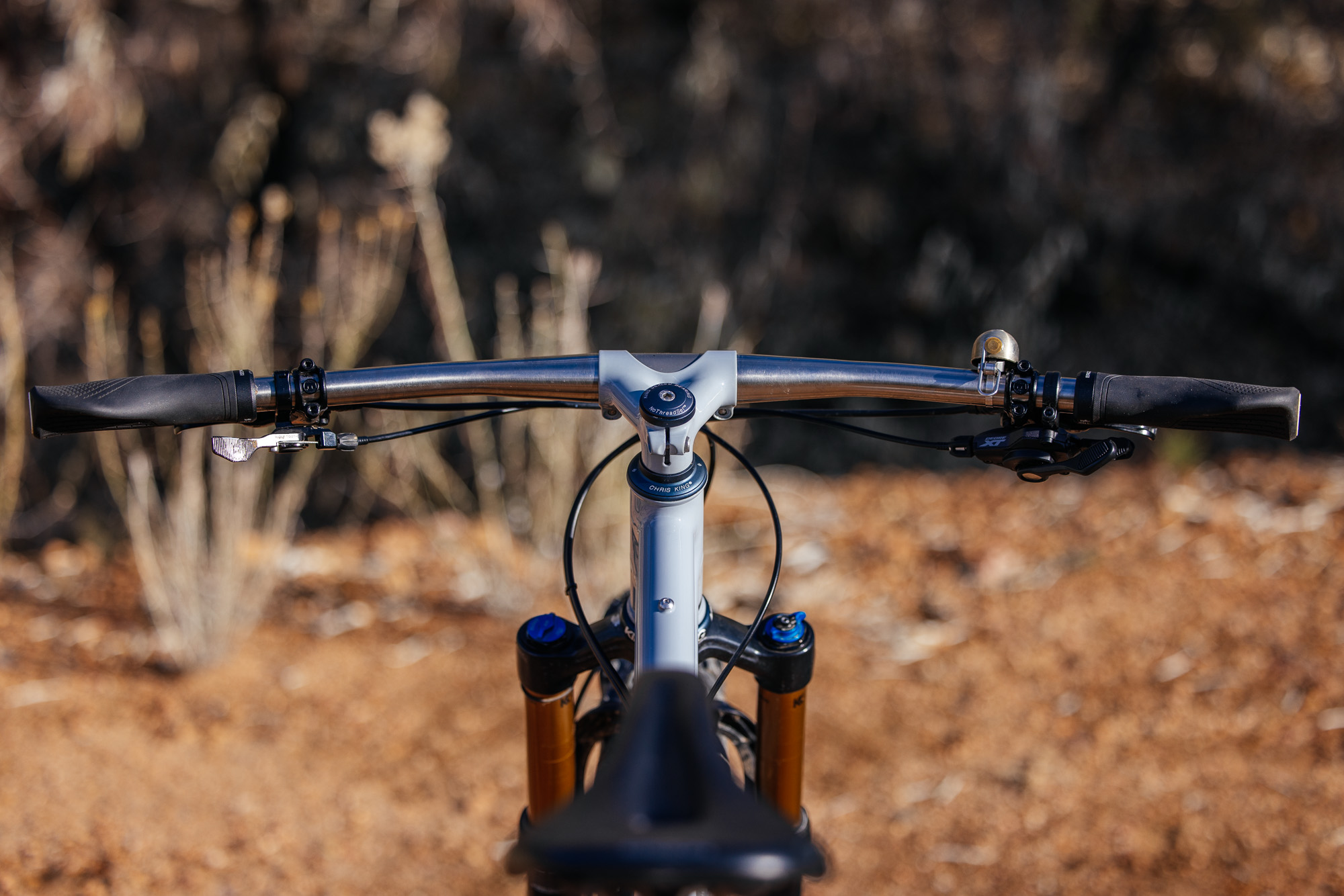 Daniel and His Black Cat Fat Hardtail