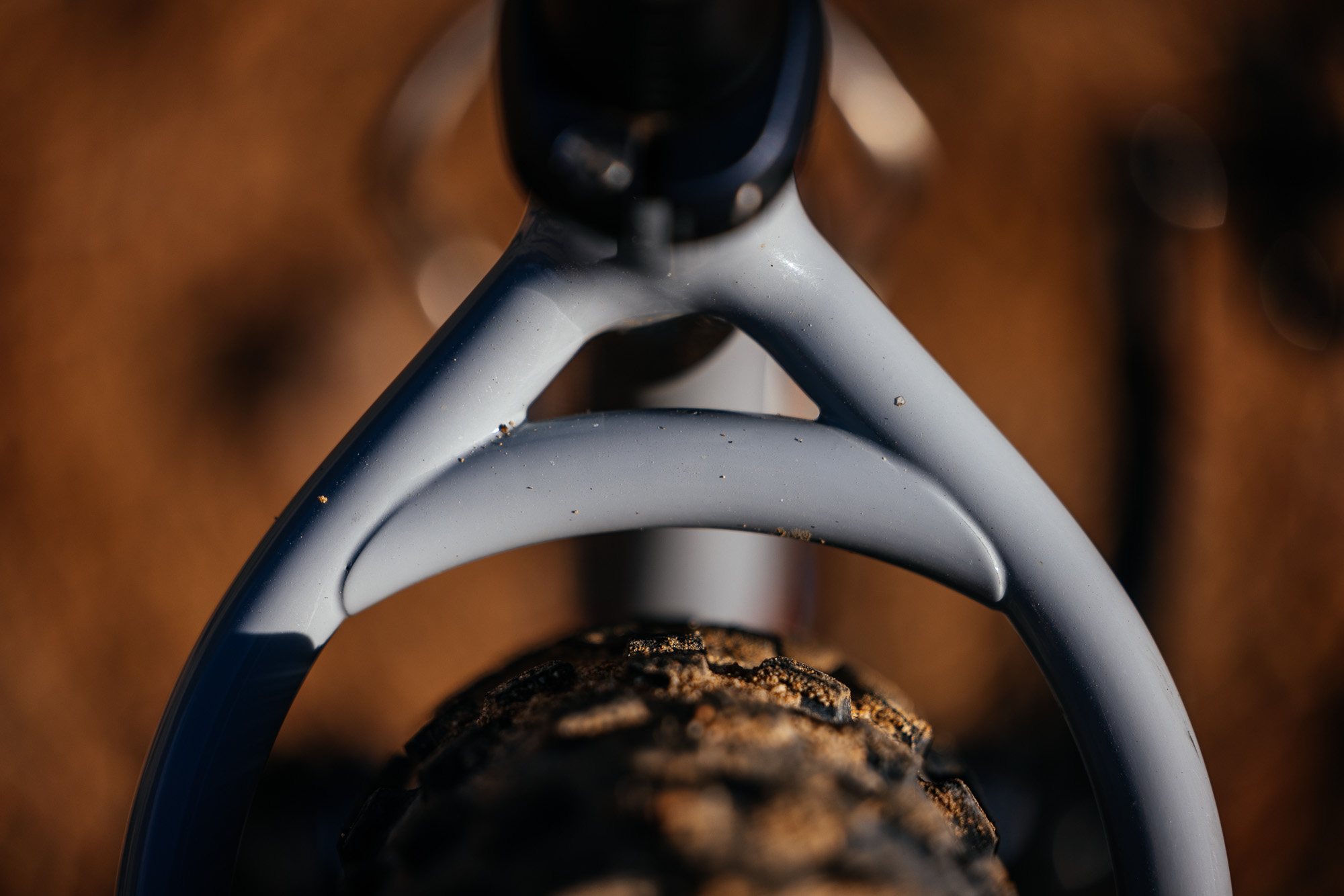 Daniel and His Black Cat Fat Hardtail