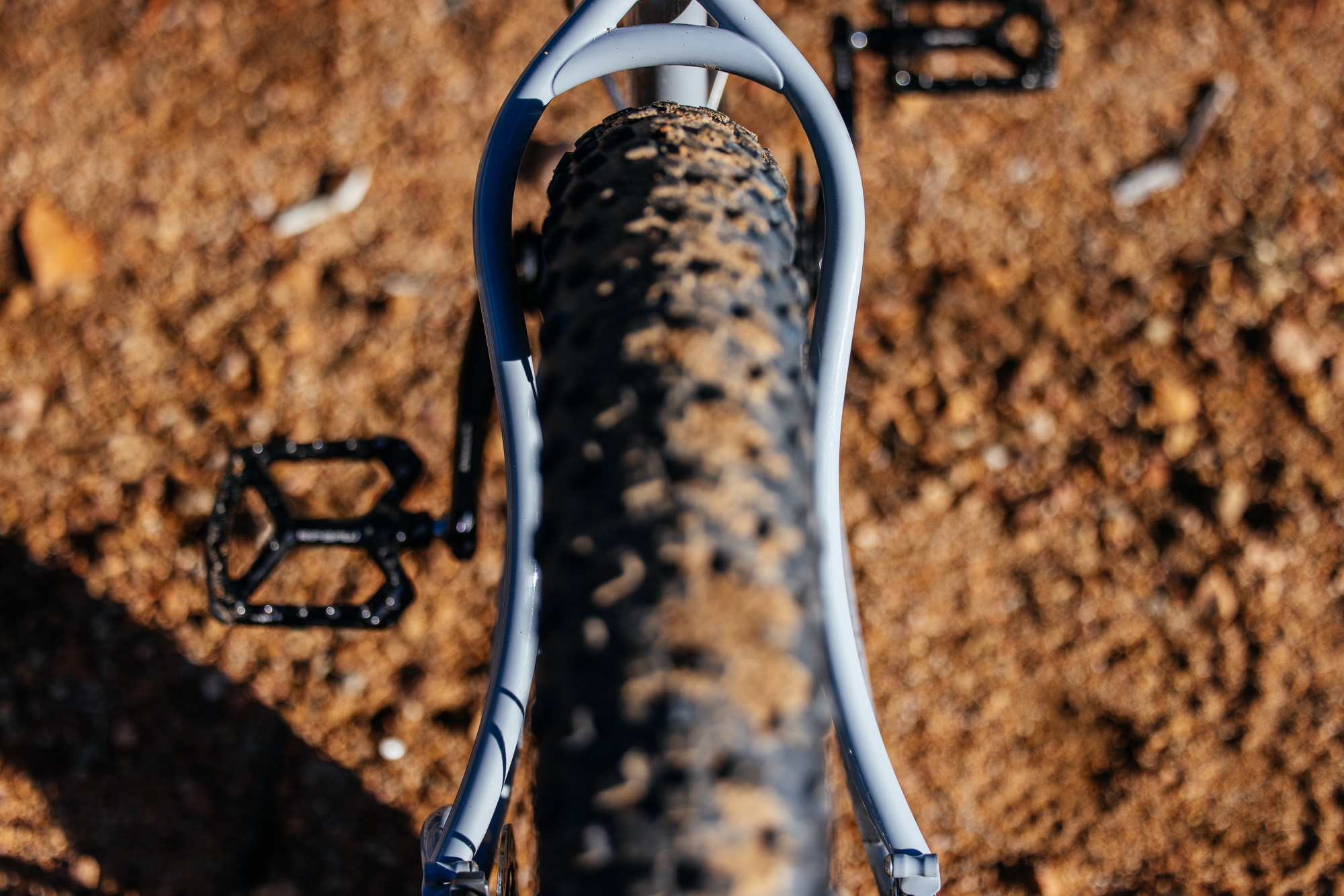 Daniel and His Black Cat Fat Hardtail