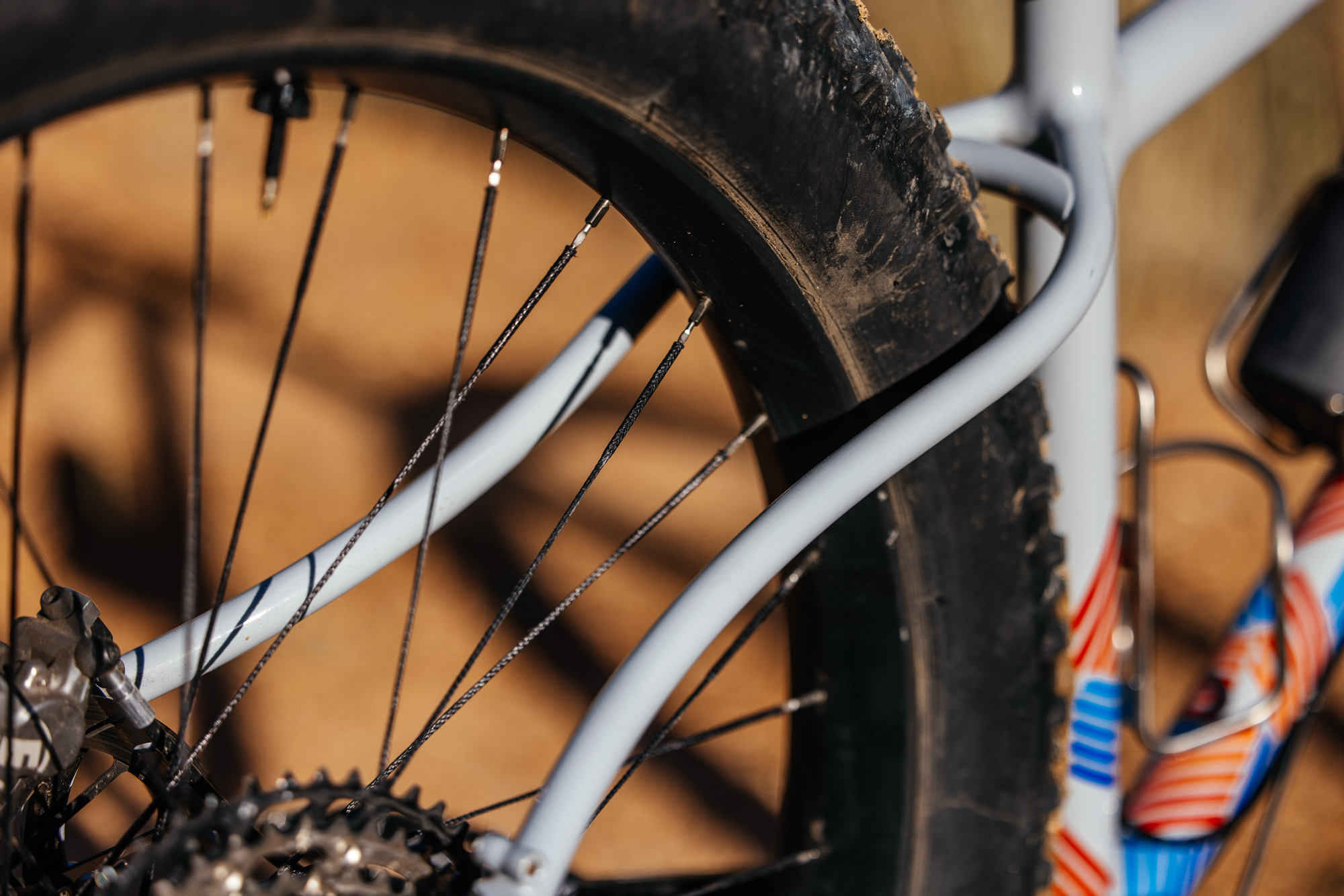 Daniel and His Black Cat Fat Hardtail