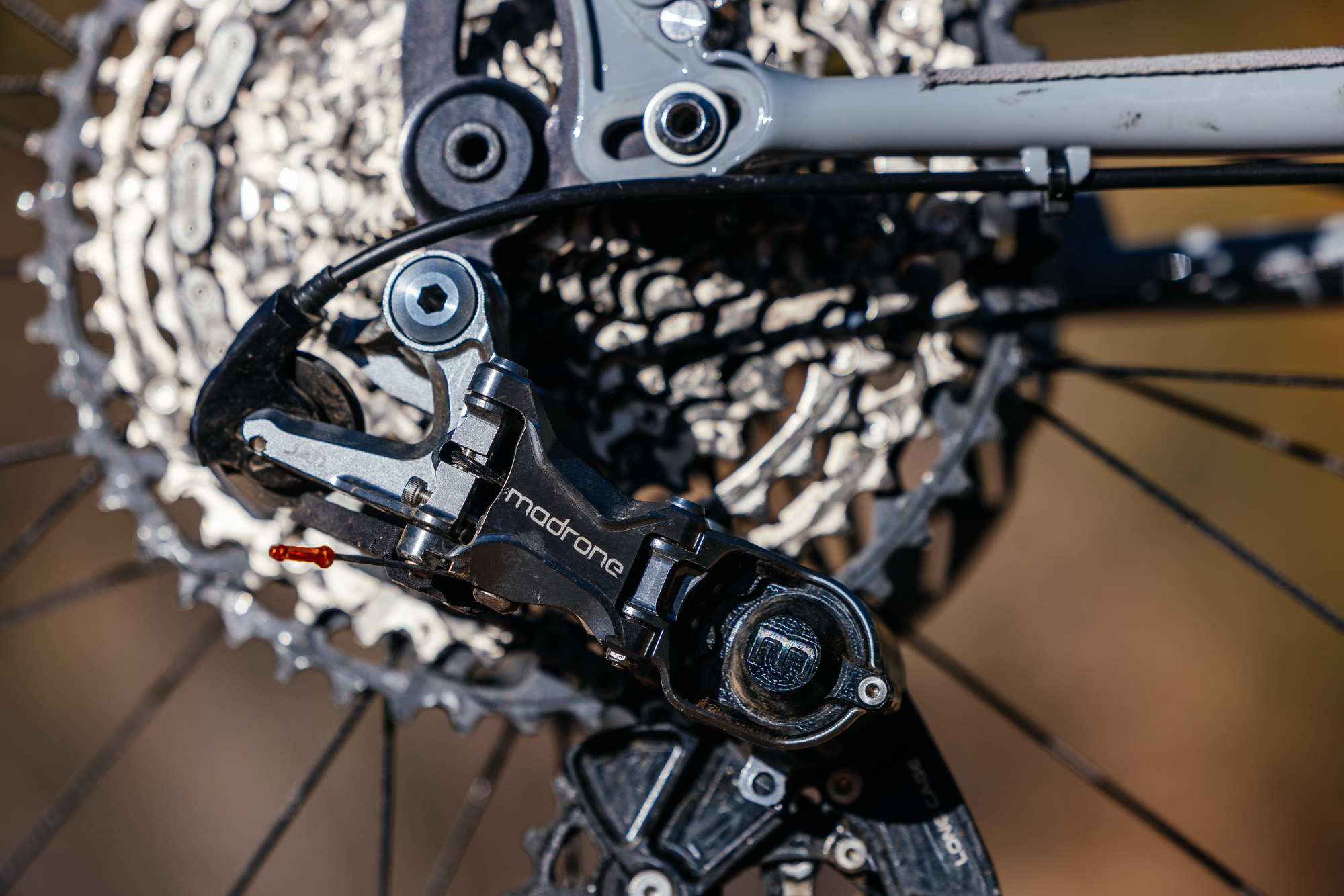 Daniel and His Black Cat Fat Hardtail