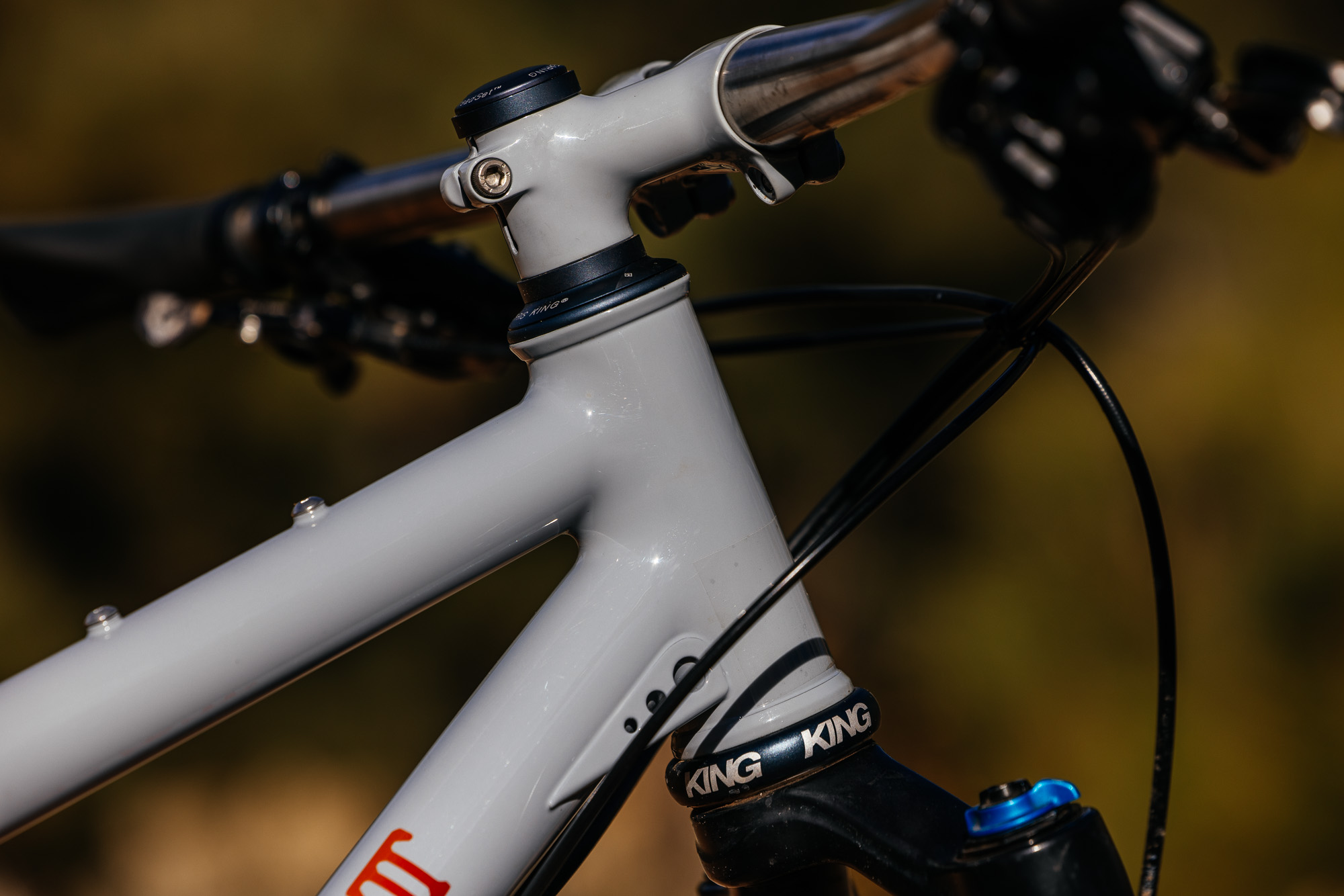 Daniel and His Black Cat Fat Hardtail