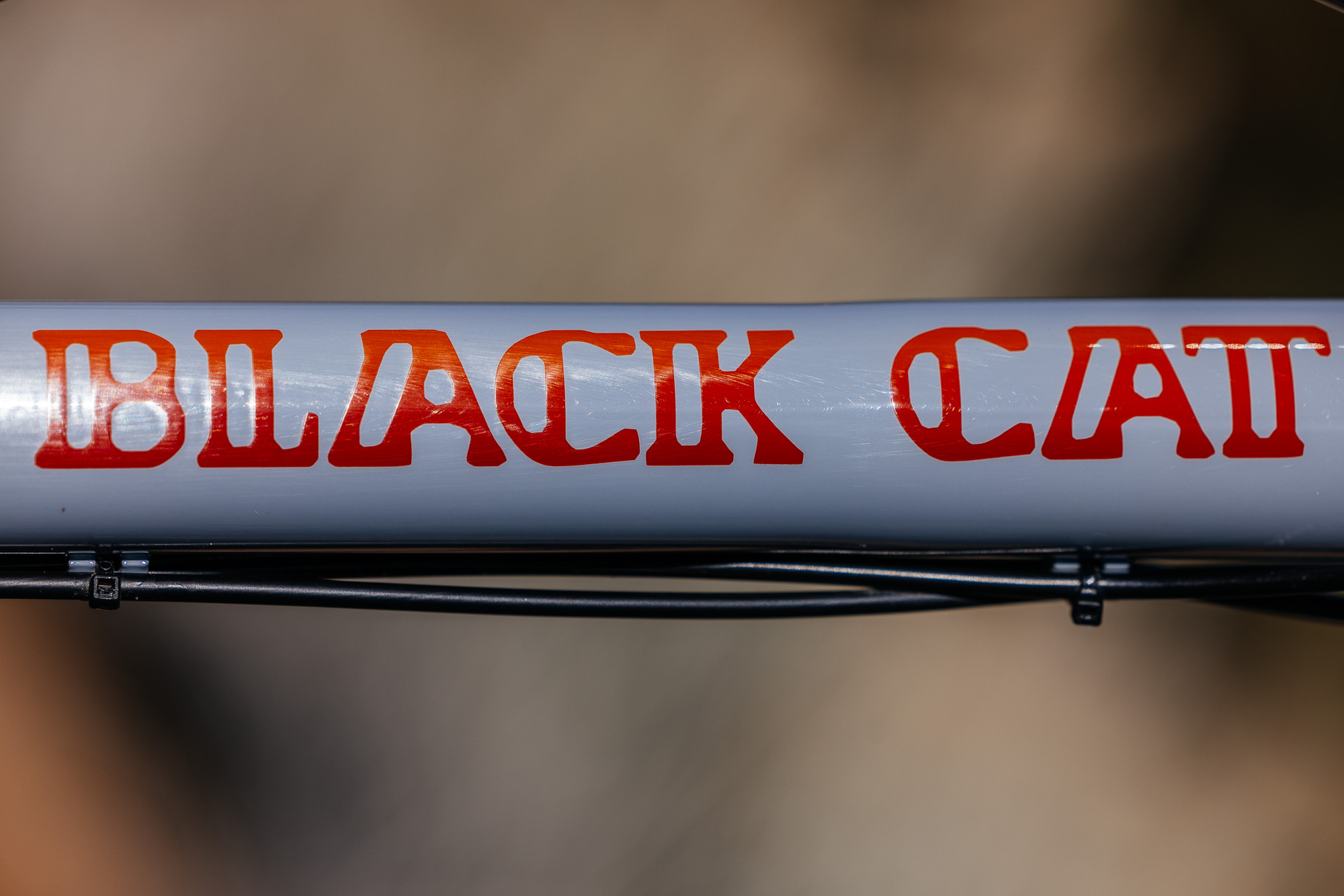 Daniel and His Black Cat Fat Hardtail