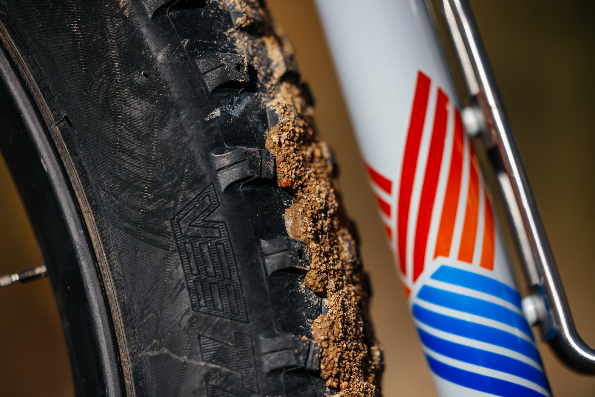 Daniel and His Black Cat Fat Hardtail