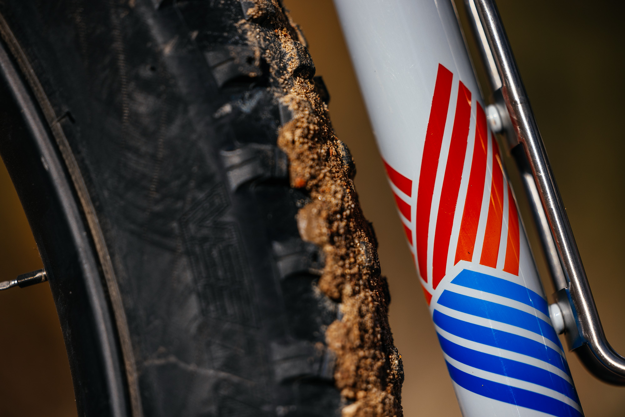 Daniel and His Black Cat Fat Hardtail