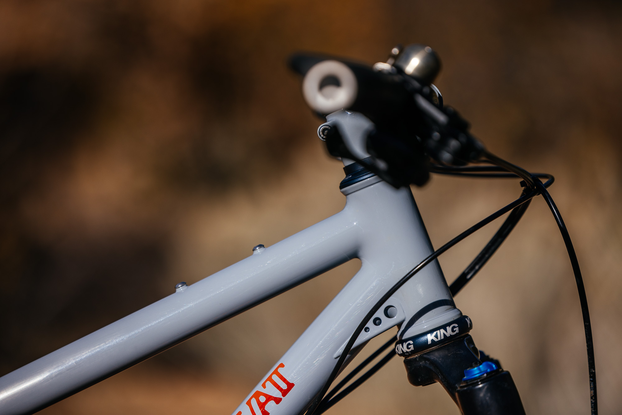 Daniel and His Black Cat Fat Hardtail