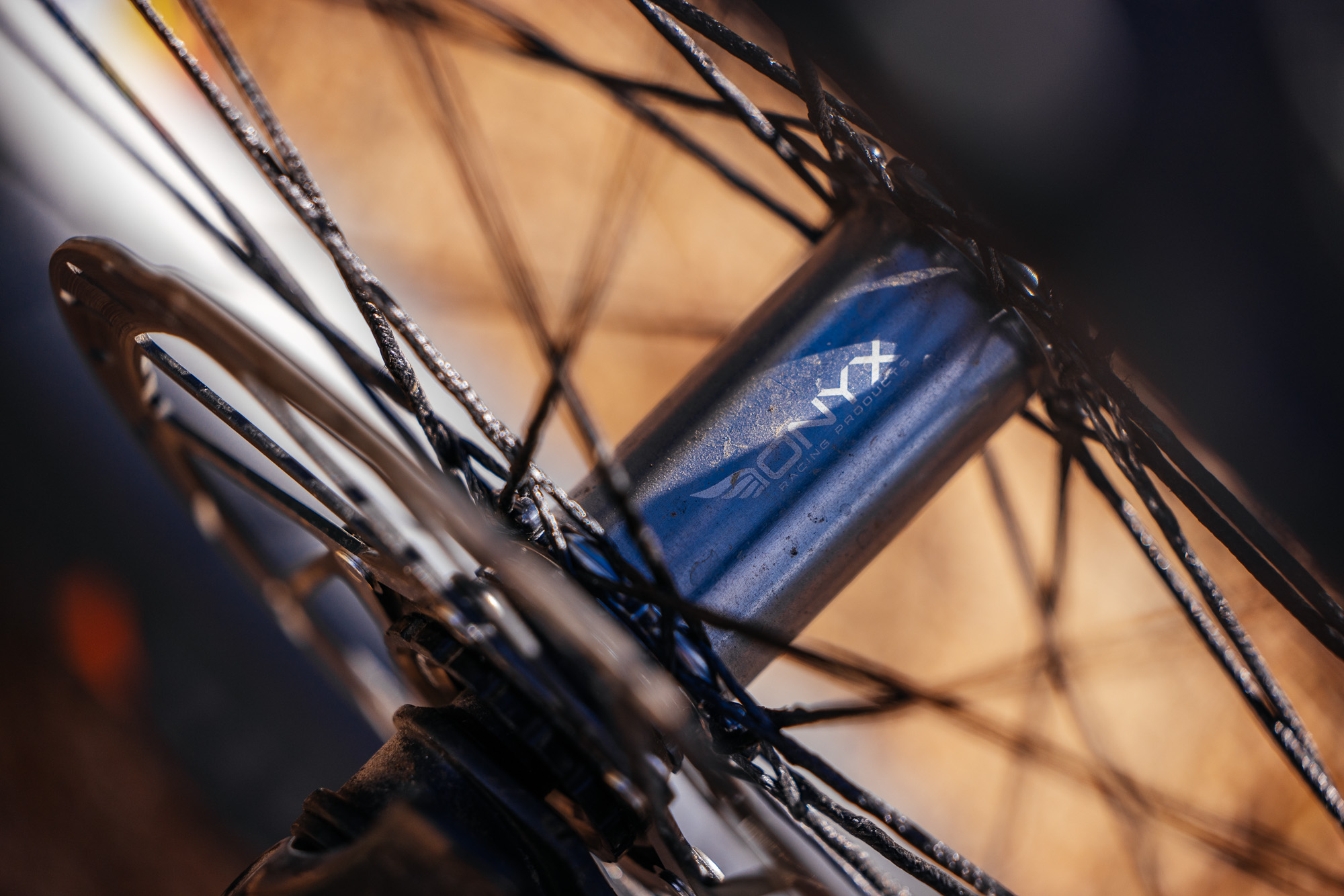 Daniel and His Black Cat Fat Hardtail