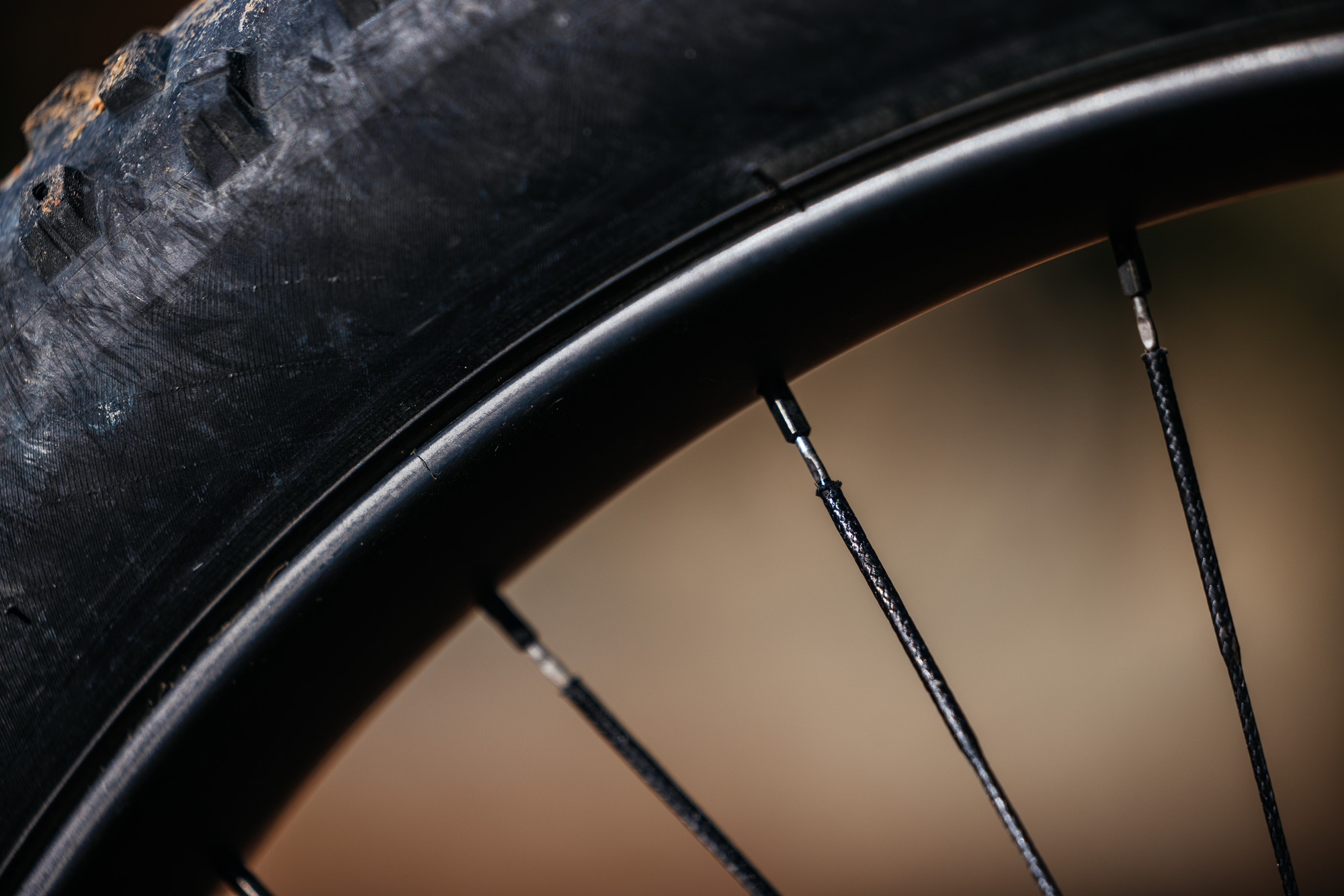 Daniel and His Black Cat Fat Hardtail