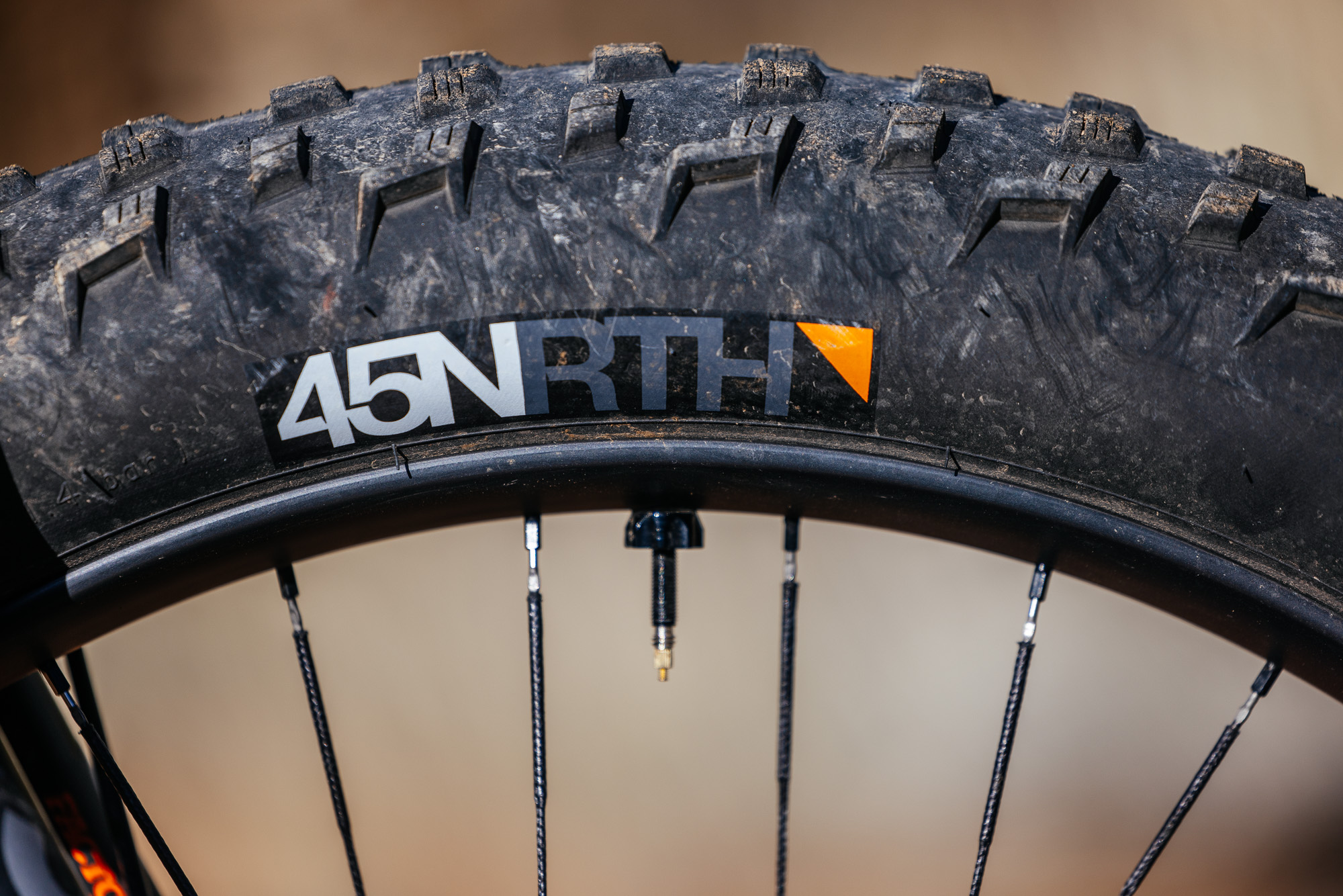 Daniel and His Black Cat Fat Hardtail