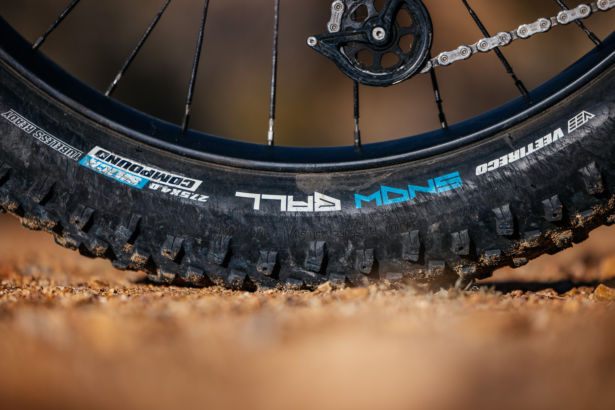 Daniel and His Black Cat Fat Hardtail