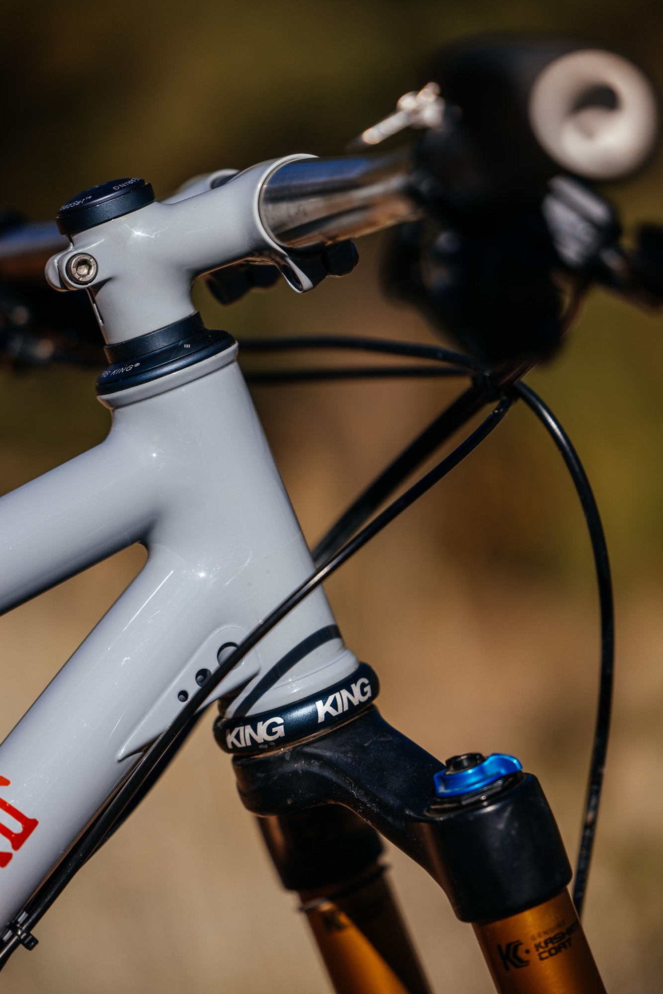 Daniel and His Black Cat Fat Hardtail